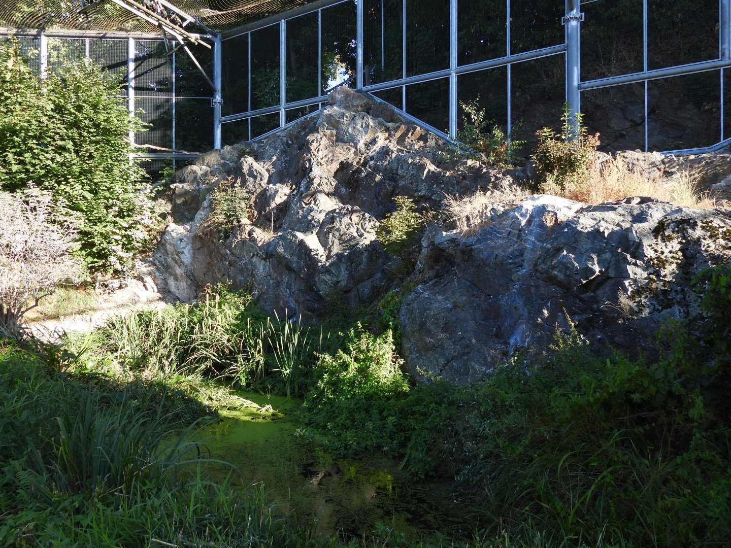 Waldrappvoliere Waidhofen an der Thaya