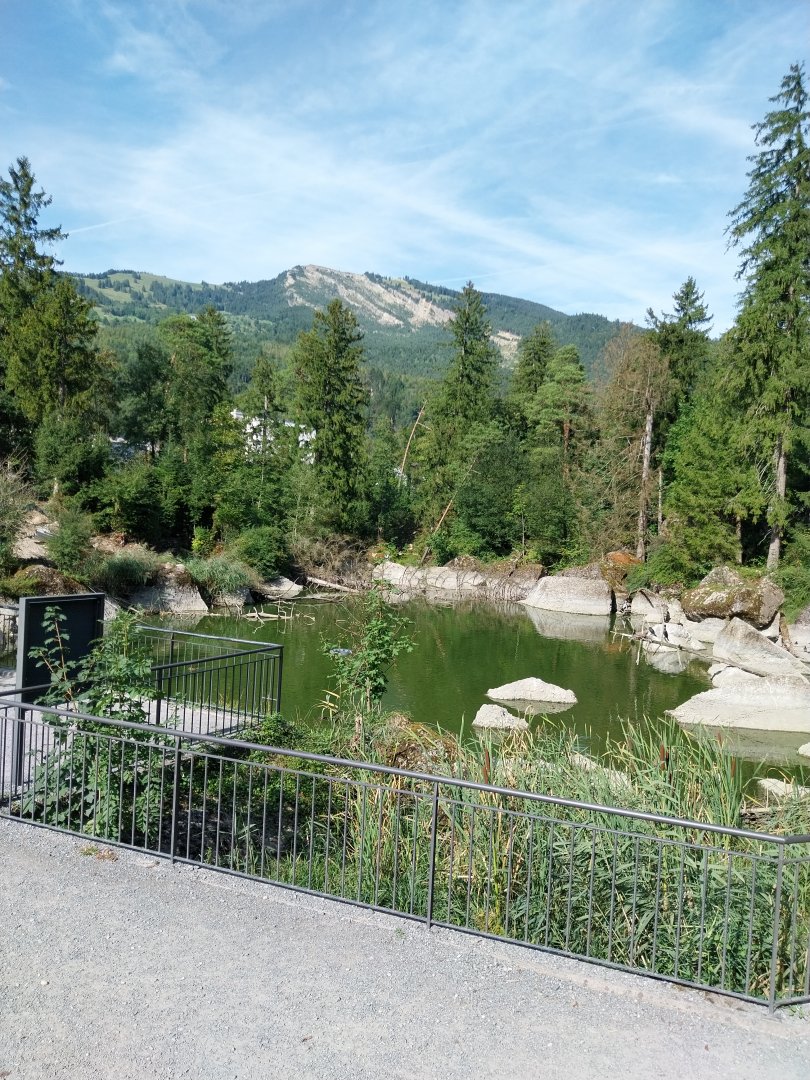 Waldweier and Rossberg