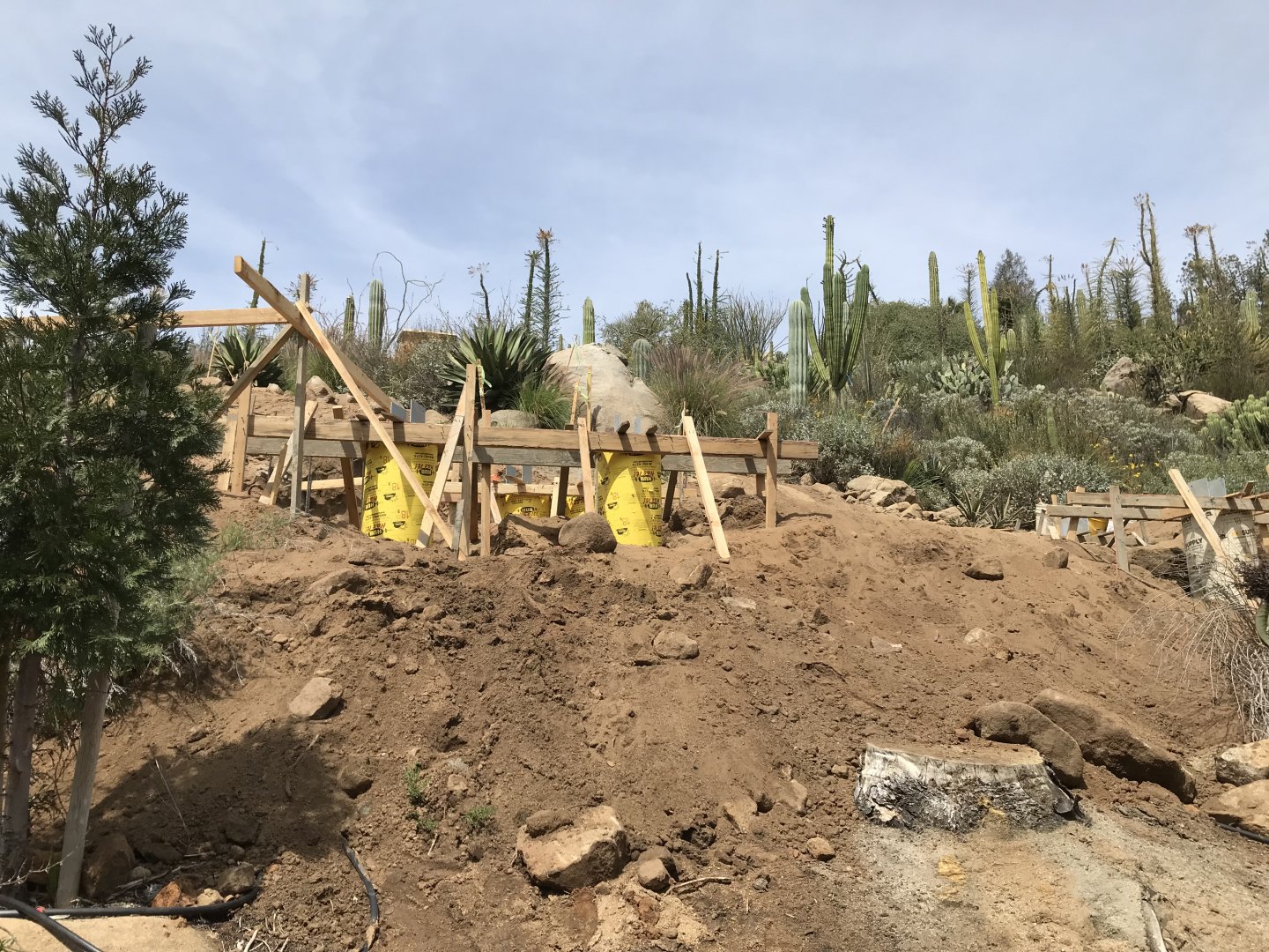 Walk About Aus. Bridge to Condor