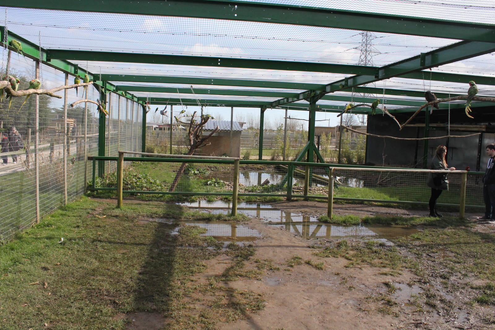 Walk-in aviary. 2-4-15