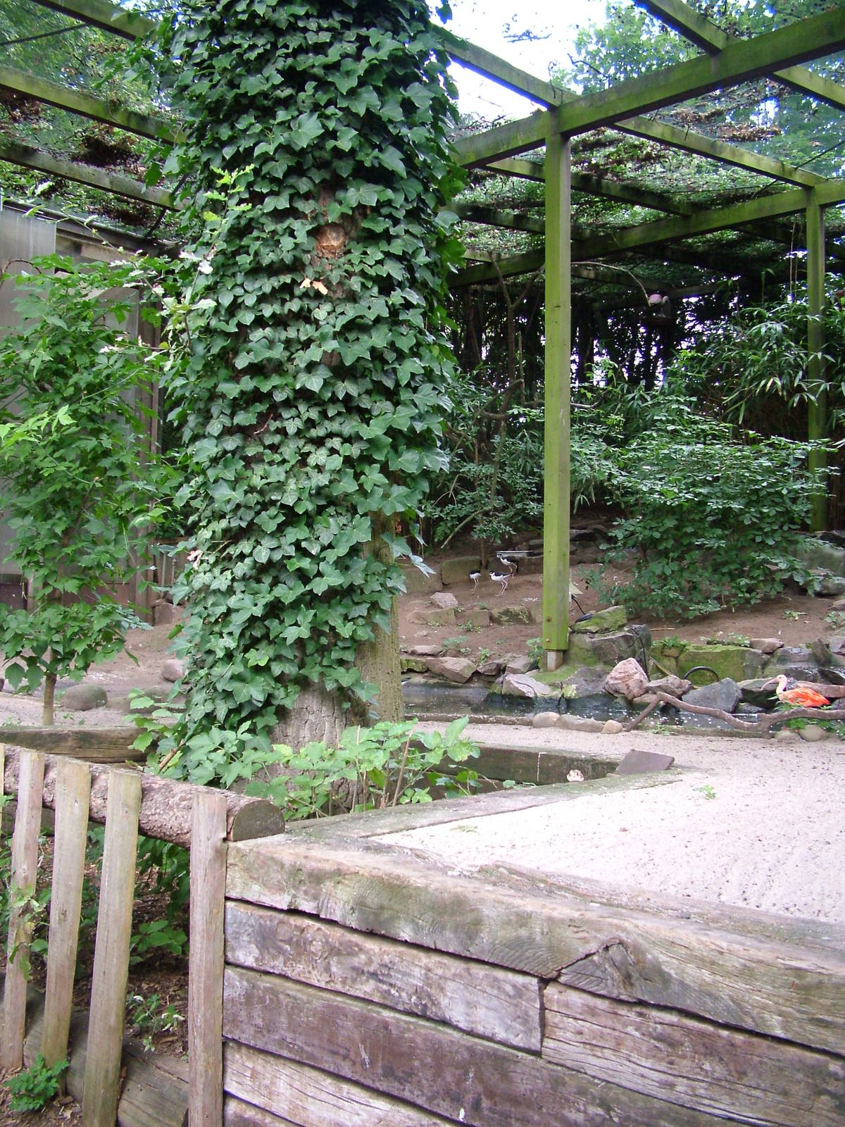 Walk-in Aviary at Landau Zoo, 04/09/10