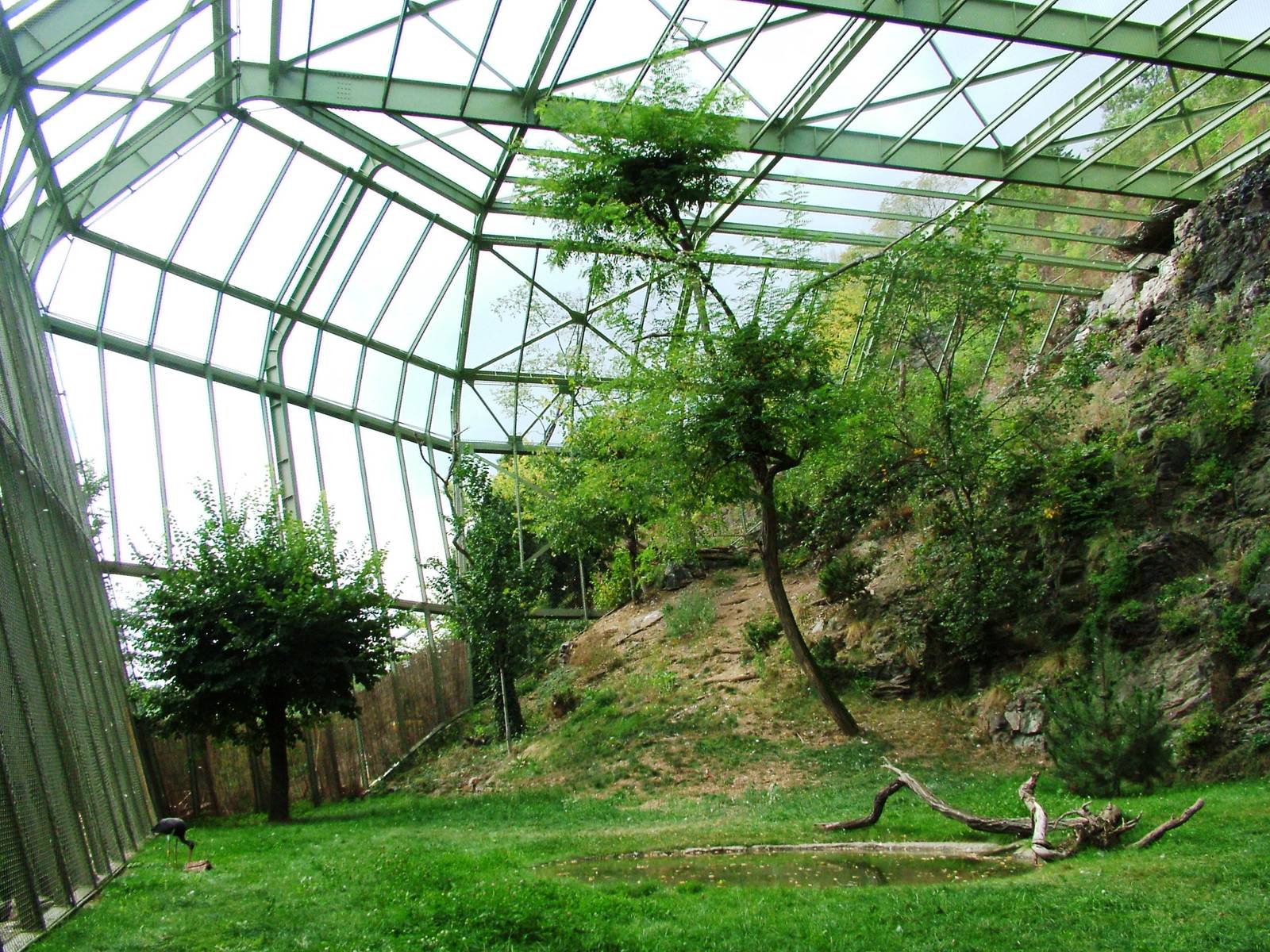 Walk-in Aviary at Prague, 25/08/12