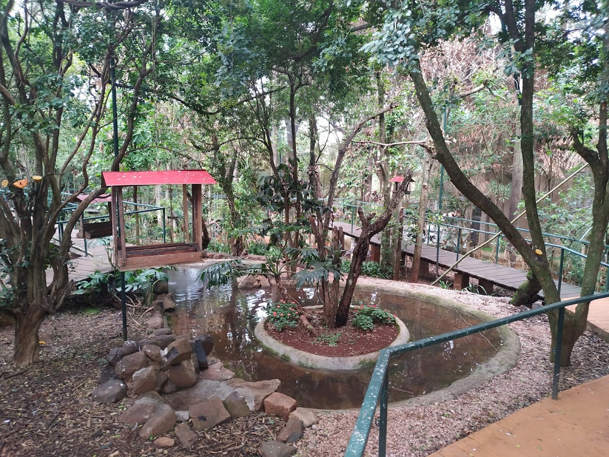 Walk-In Aviary Entrance