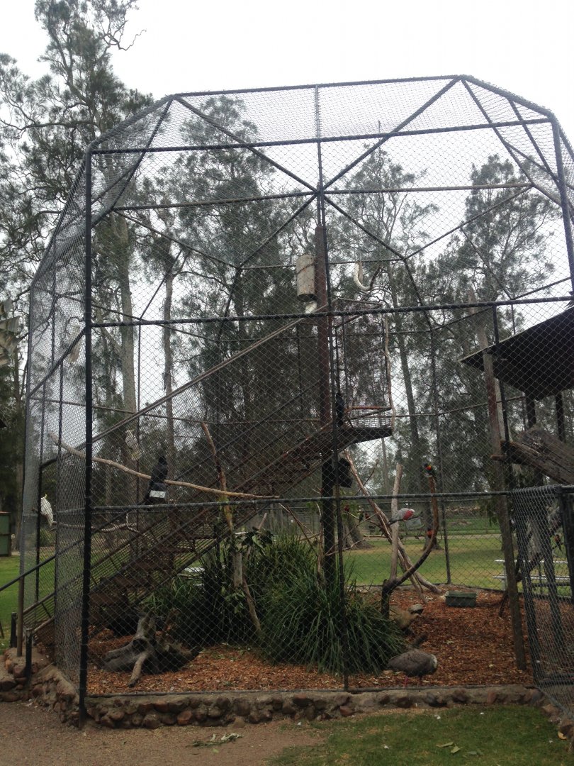 "Walk-in" aviary for large parrots