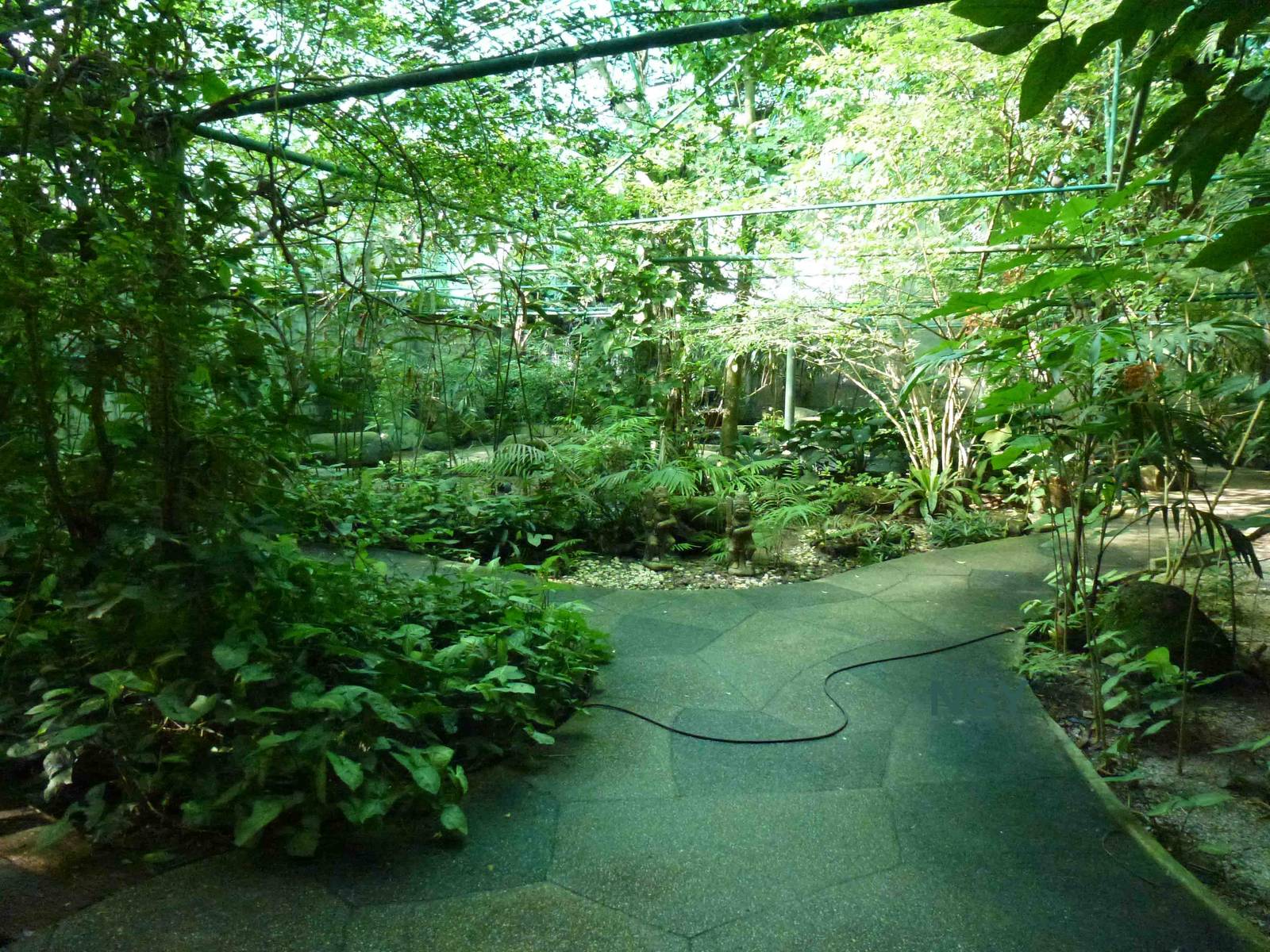 Walk-in aviary, June 2013.