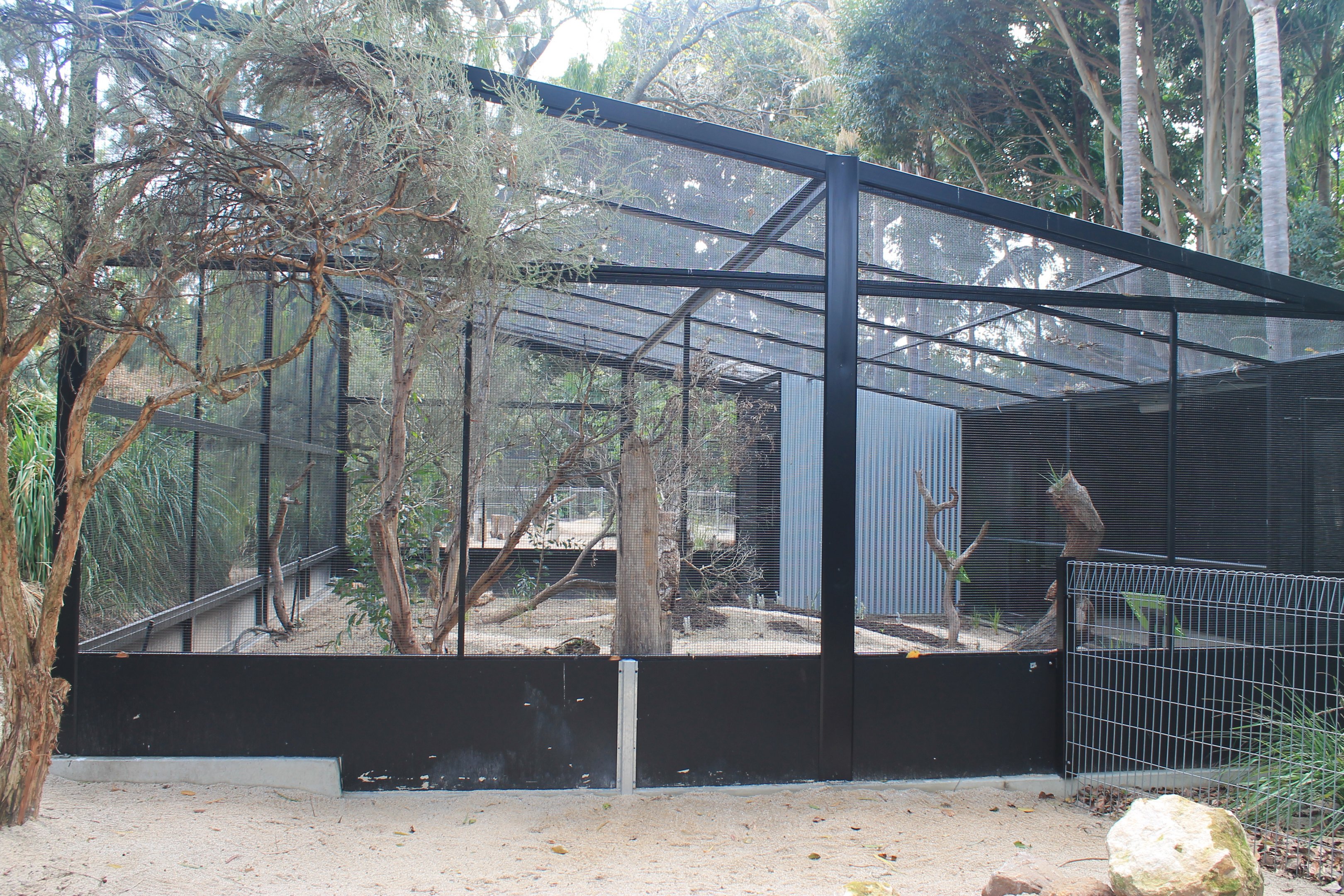 walk-in aviary under construction