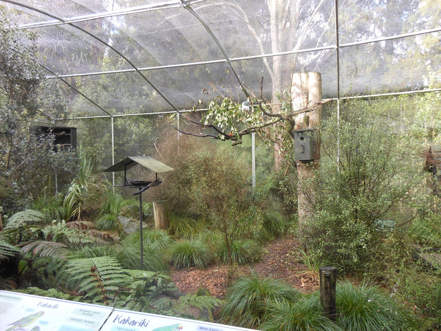Walk-in aviary