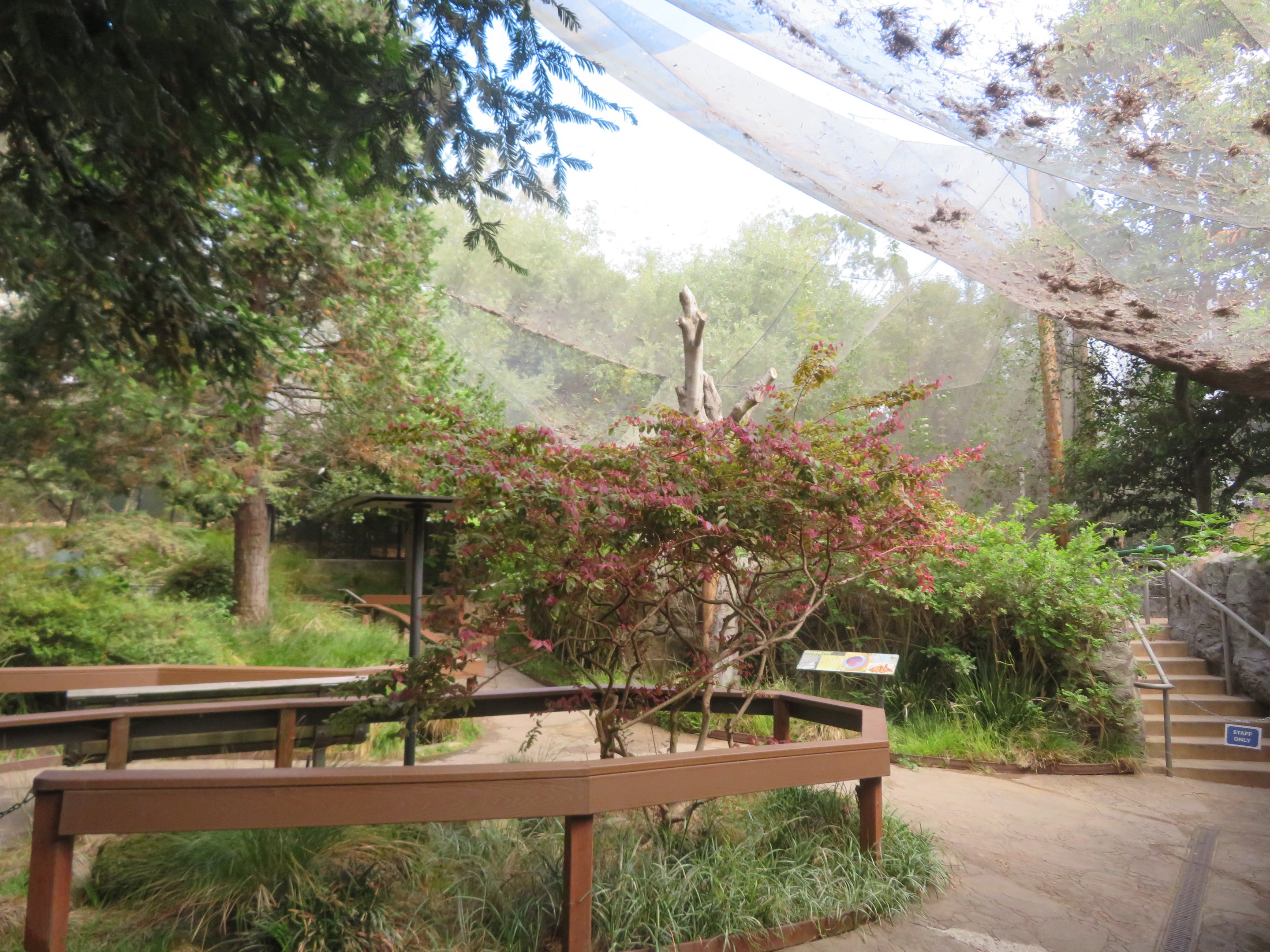 Walk-in Aviary