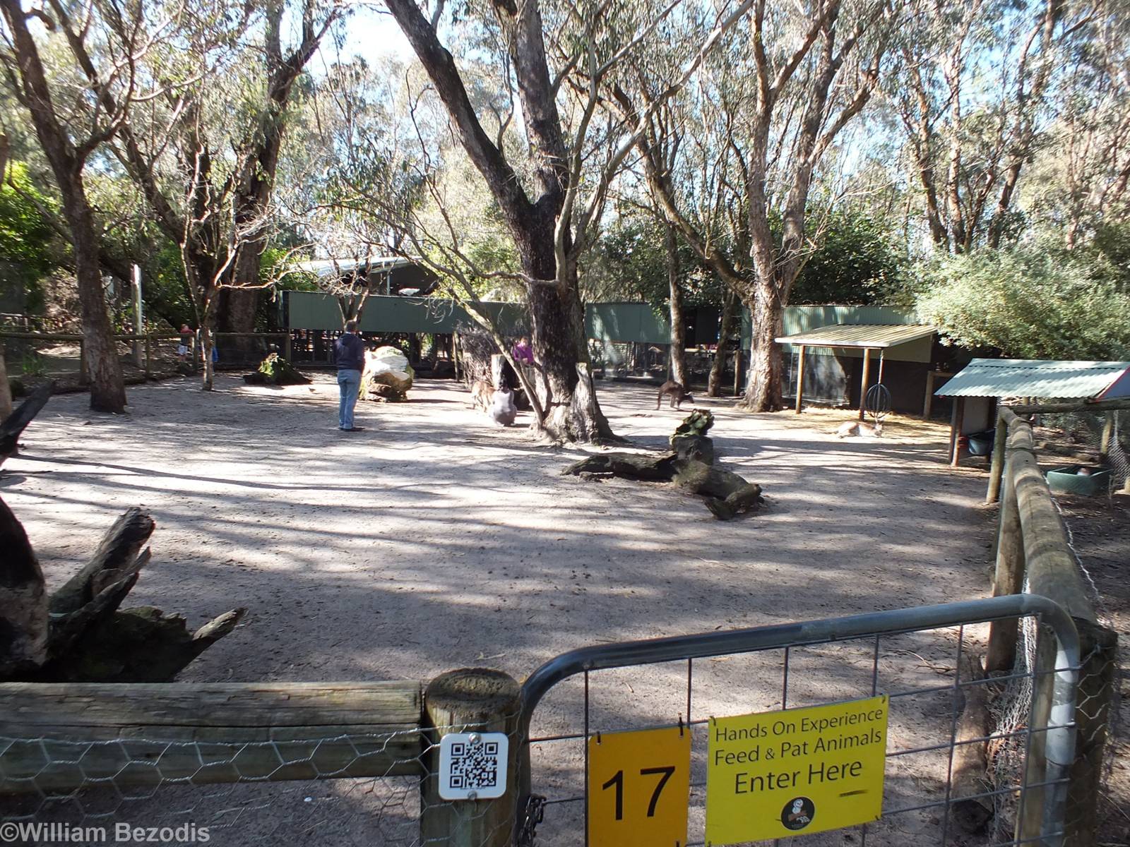 Walk-in Kangaroo Enclosure