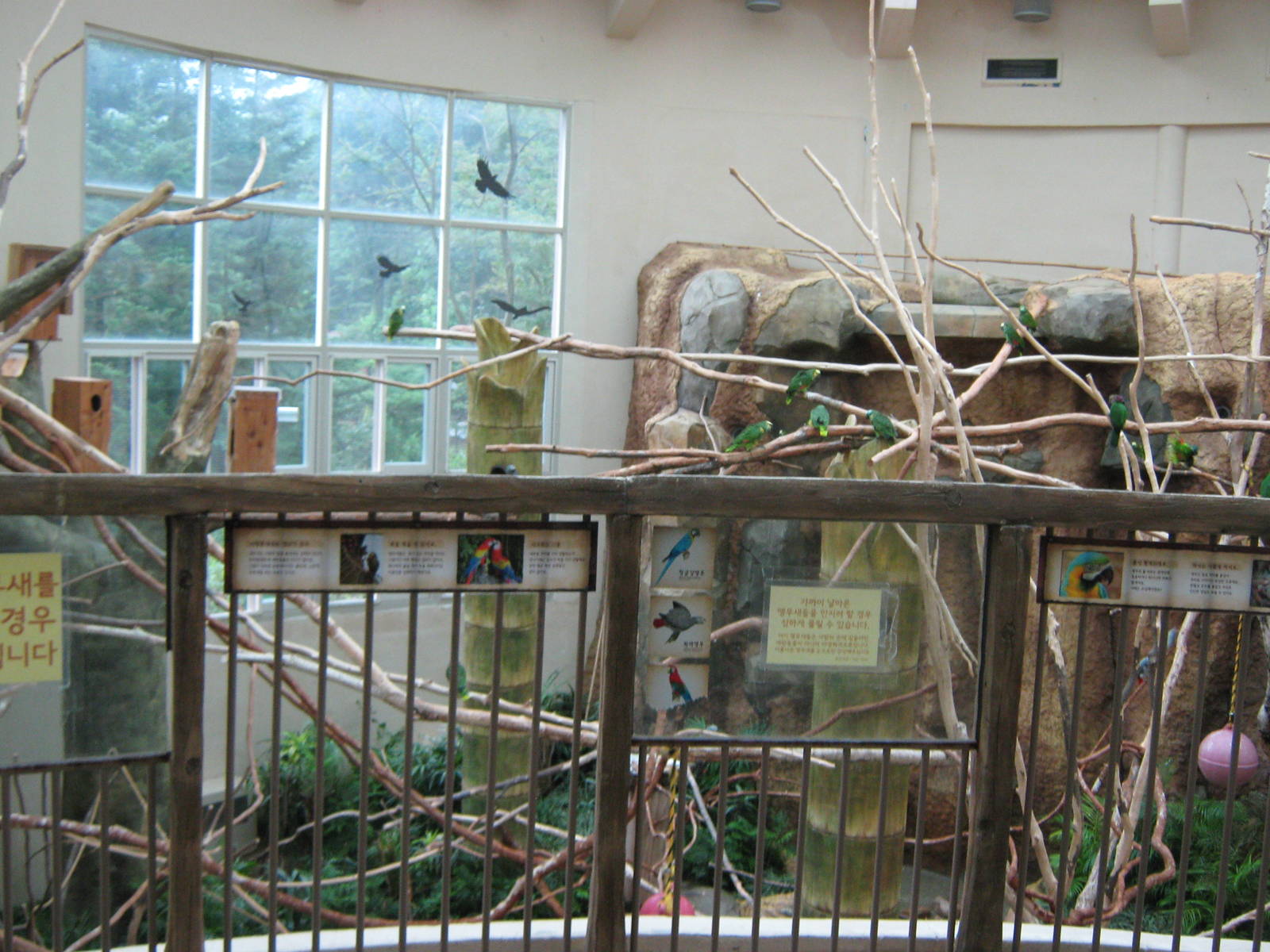 walk-in macaw aviary in the Bird House