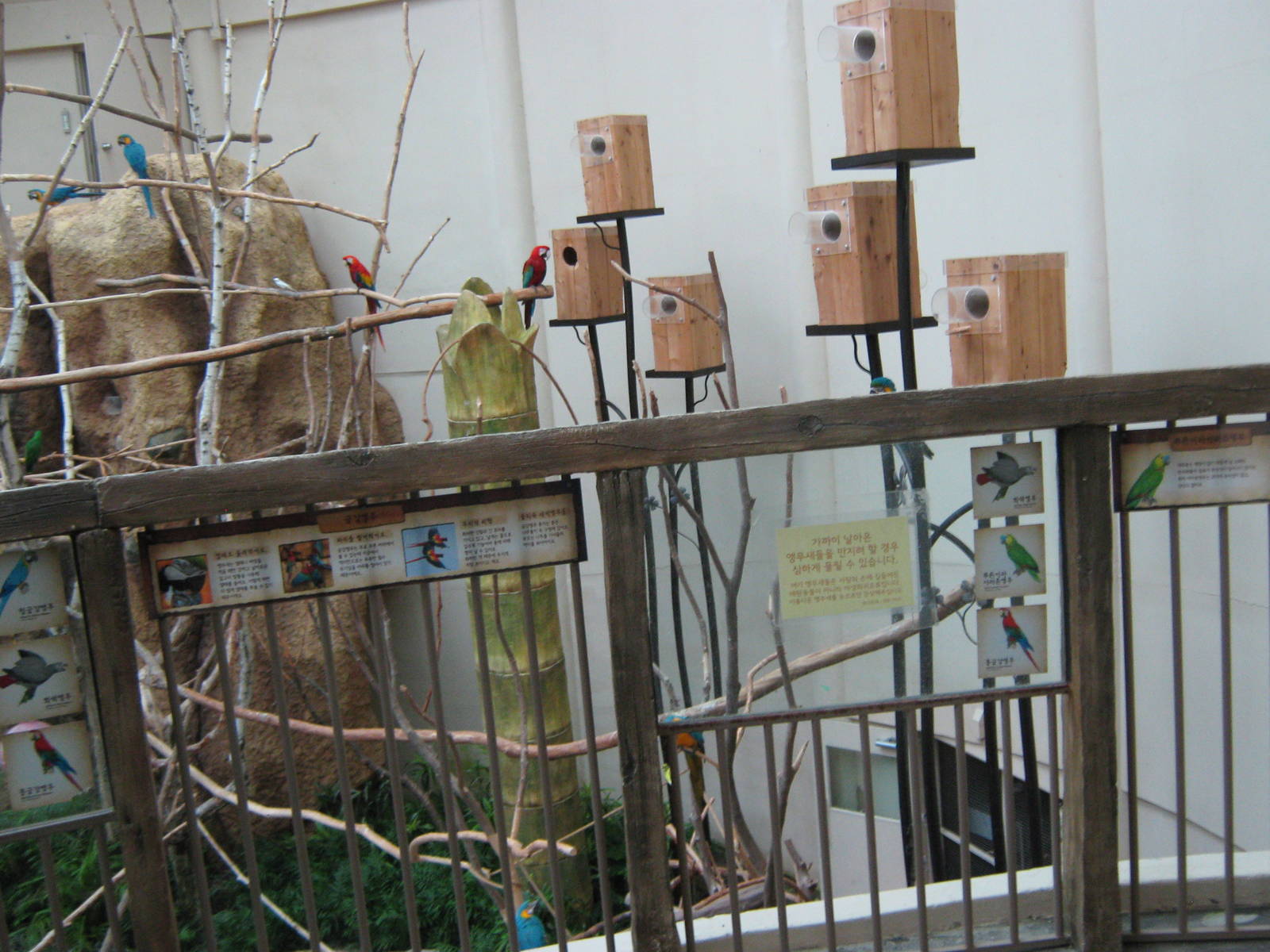 walk-in macaw aviary in the Bird House