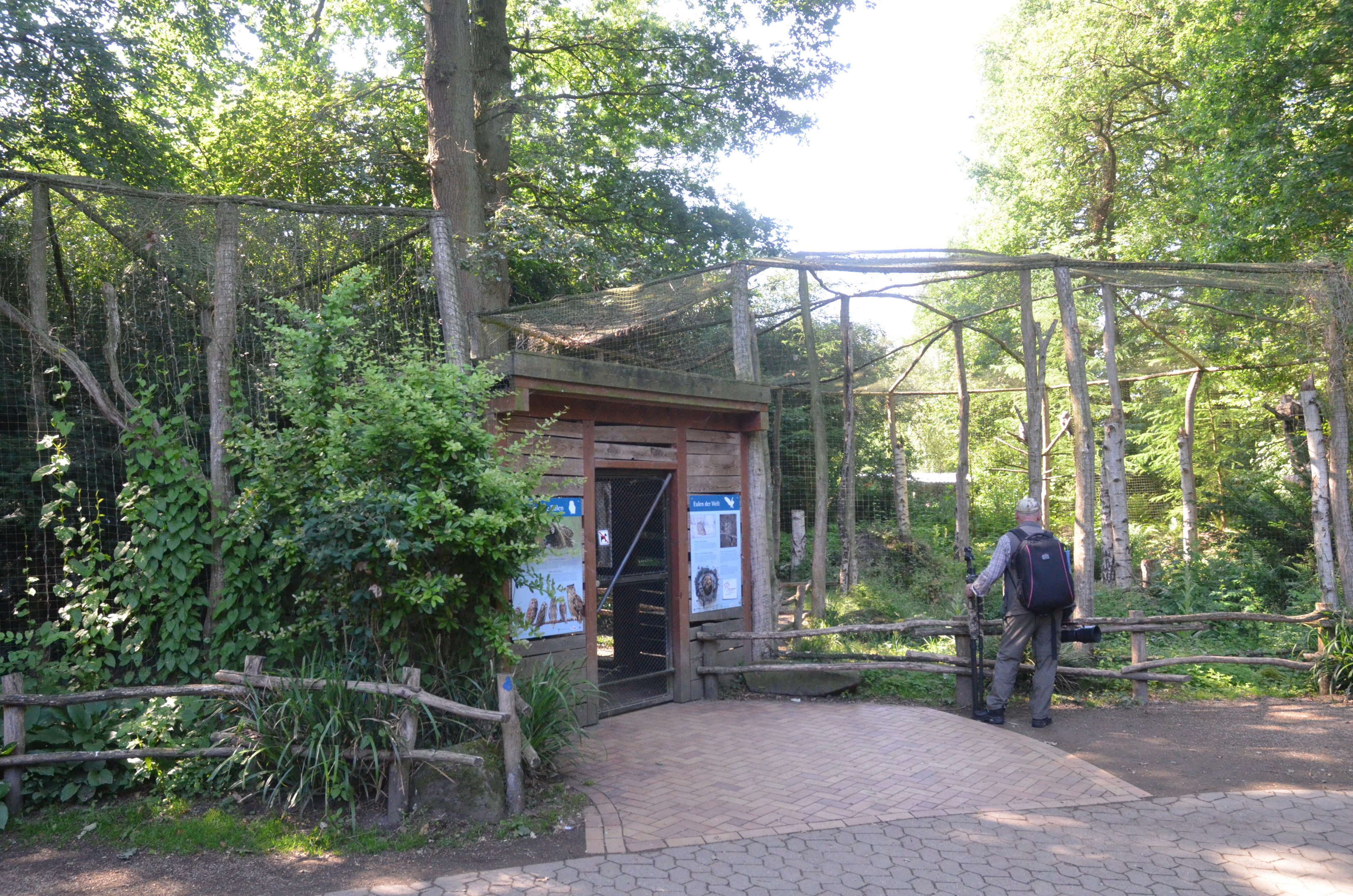Walk-in Owl Aviary at Rheine, 18/06/19
