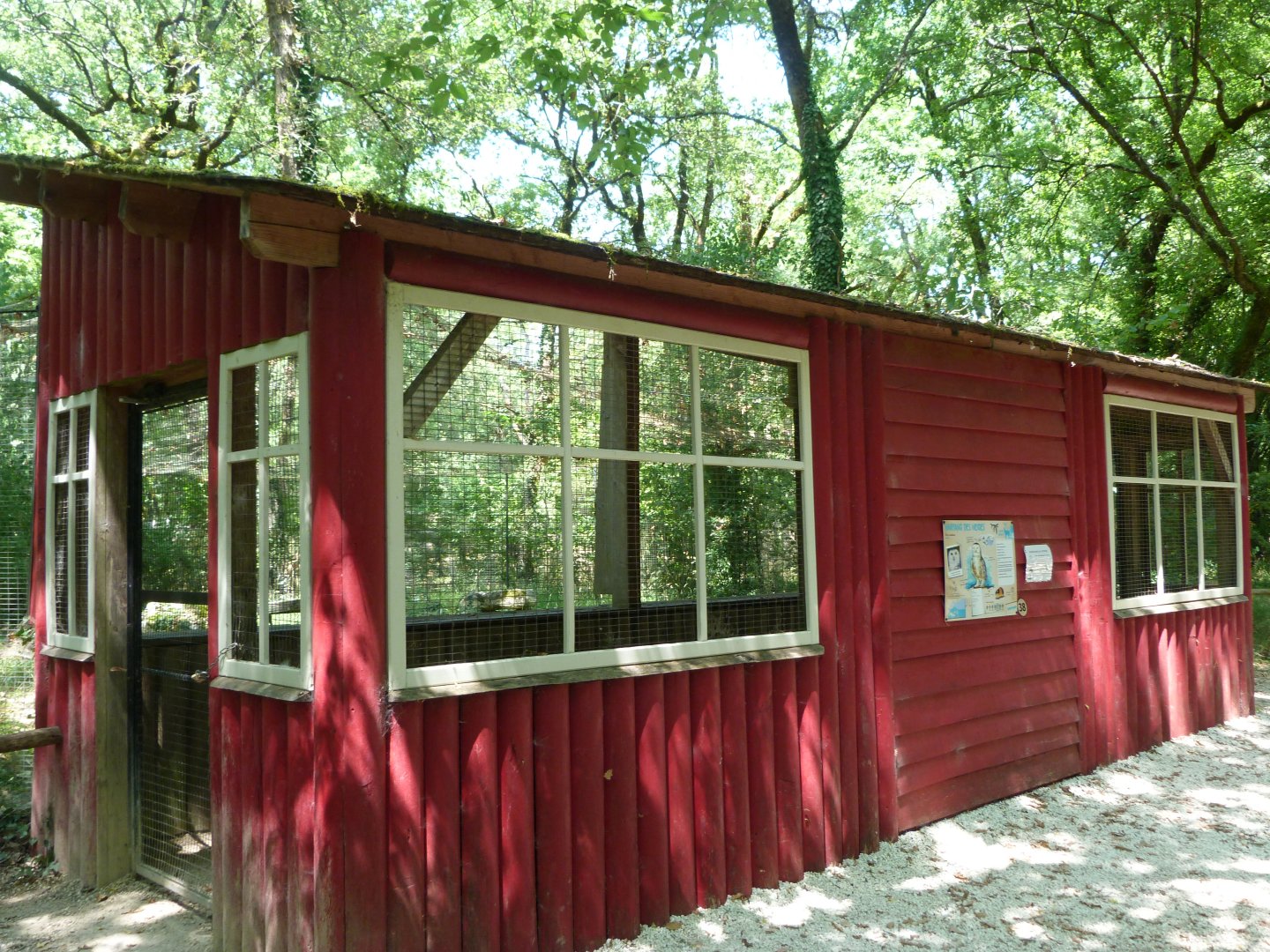 Walk-in section of snowy owl exhibit -Zoodyssée (2025)