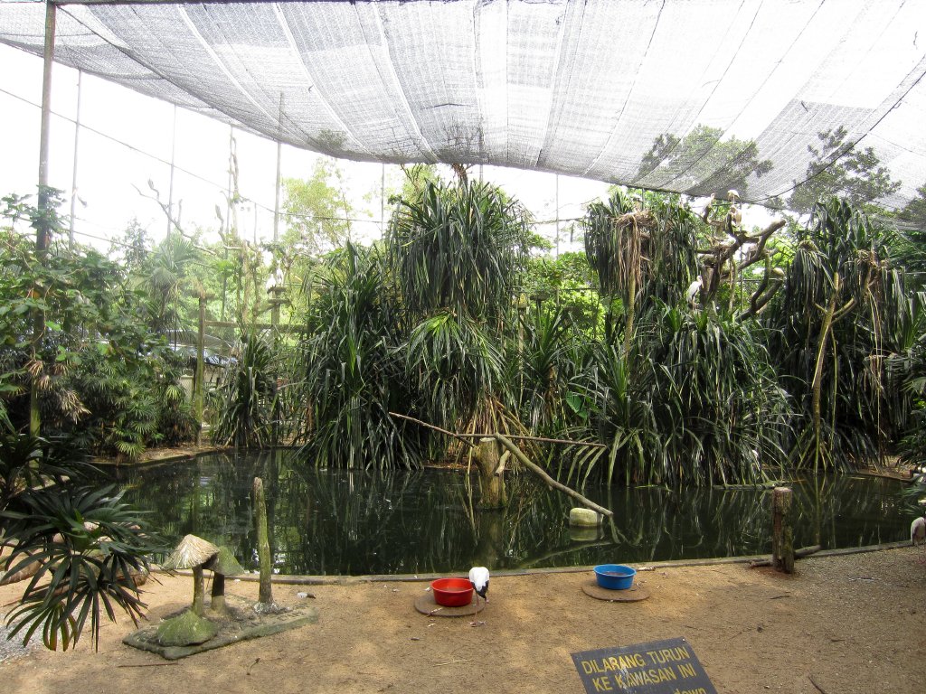 Walk-in Waterbird Aviary
