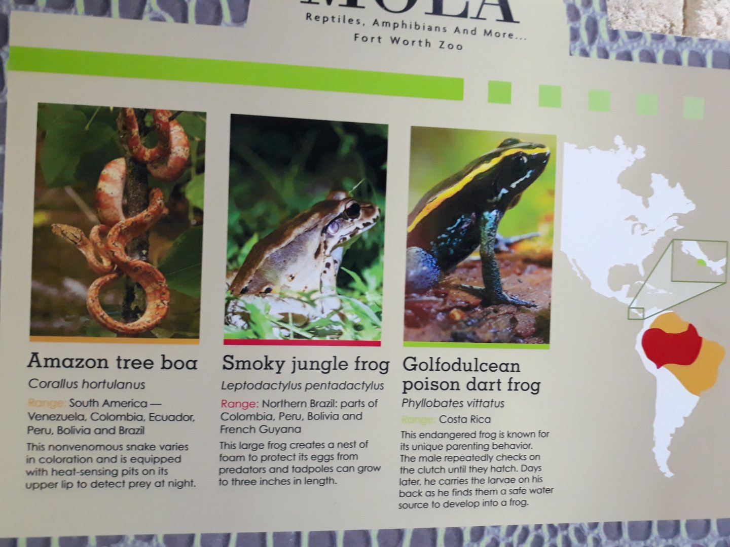 Walk into MOLA, under renovation