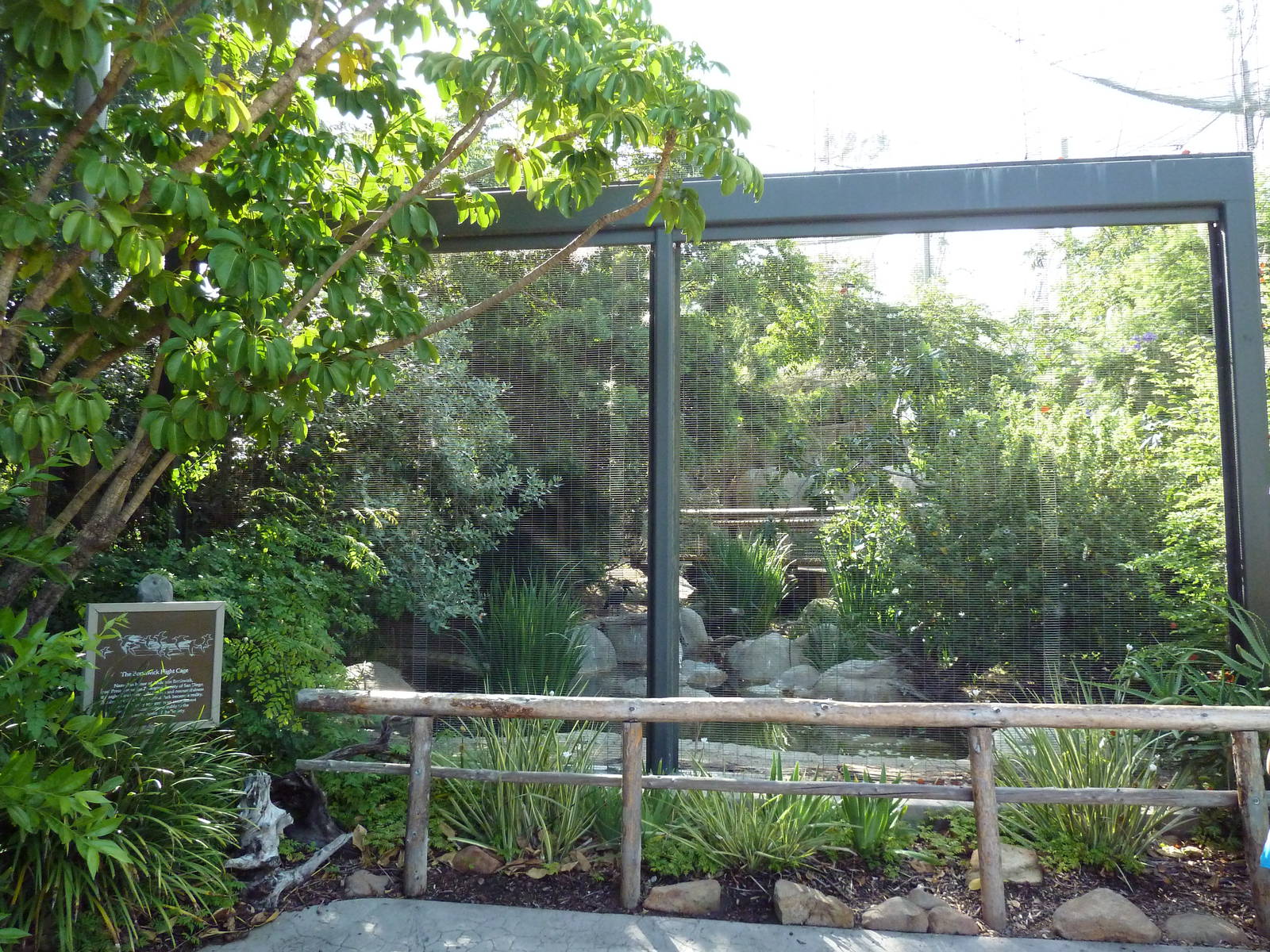 Walk-Through African Aviary (7 Species)