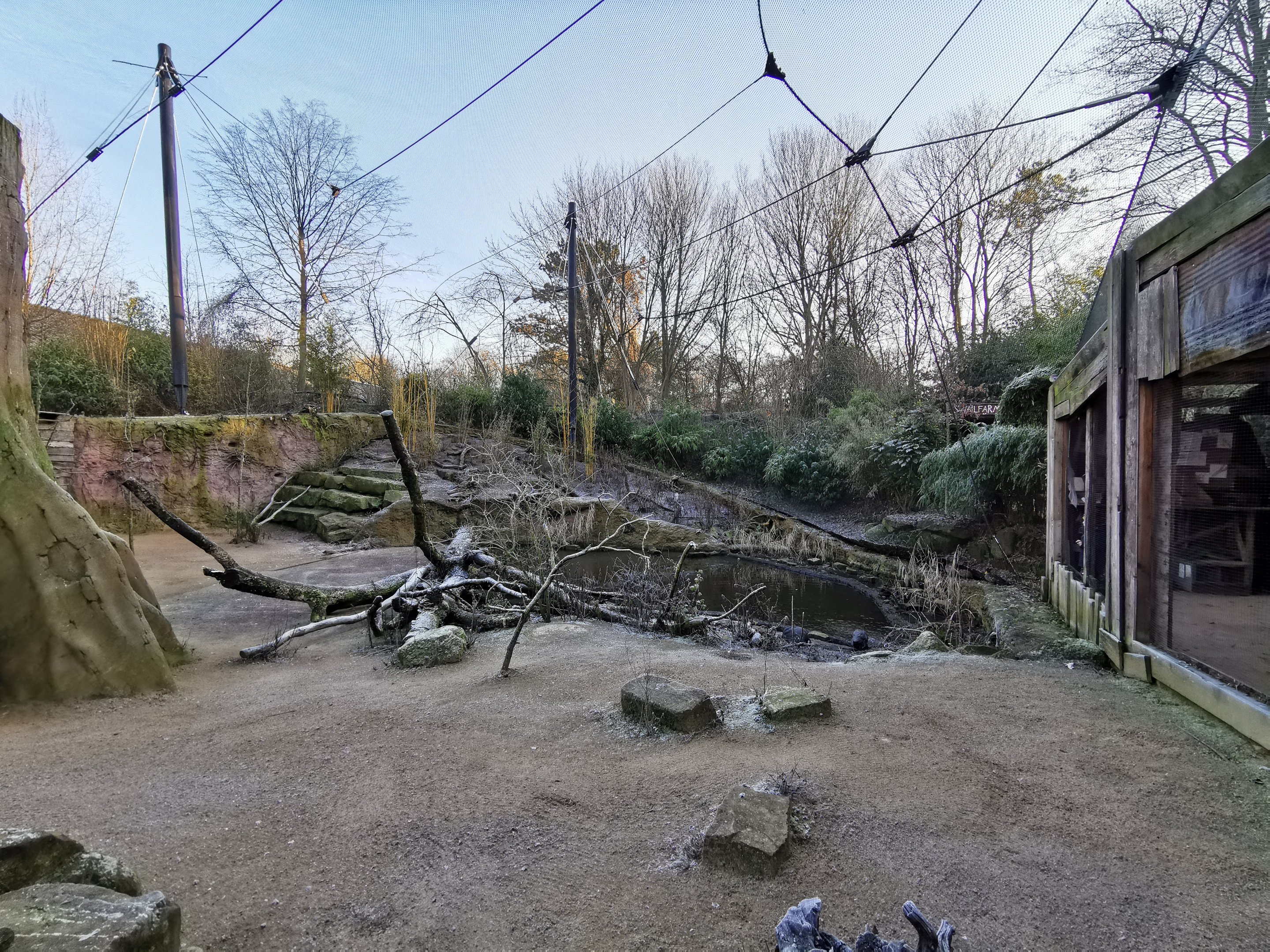 Walk-through African Aviary - Afi Mountain