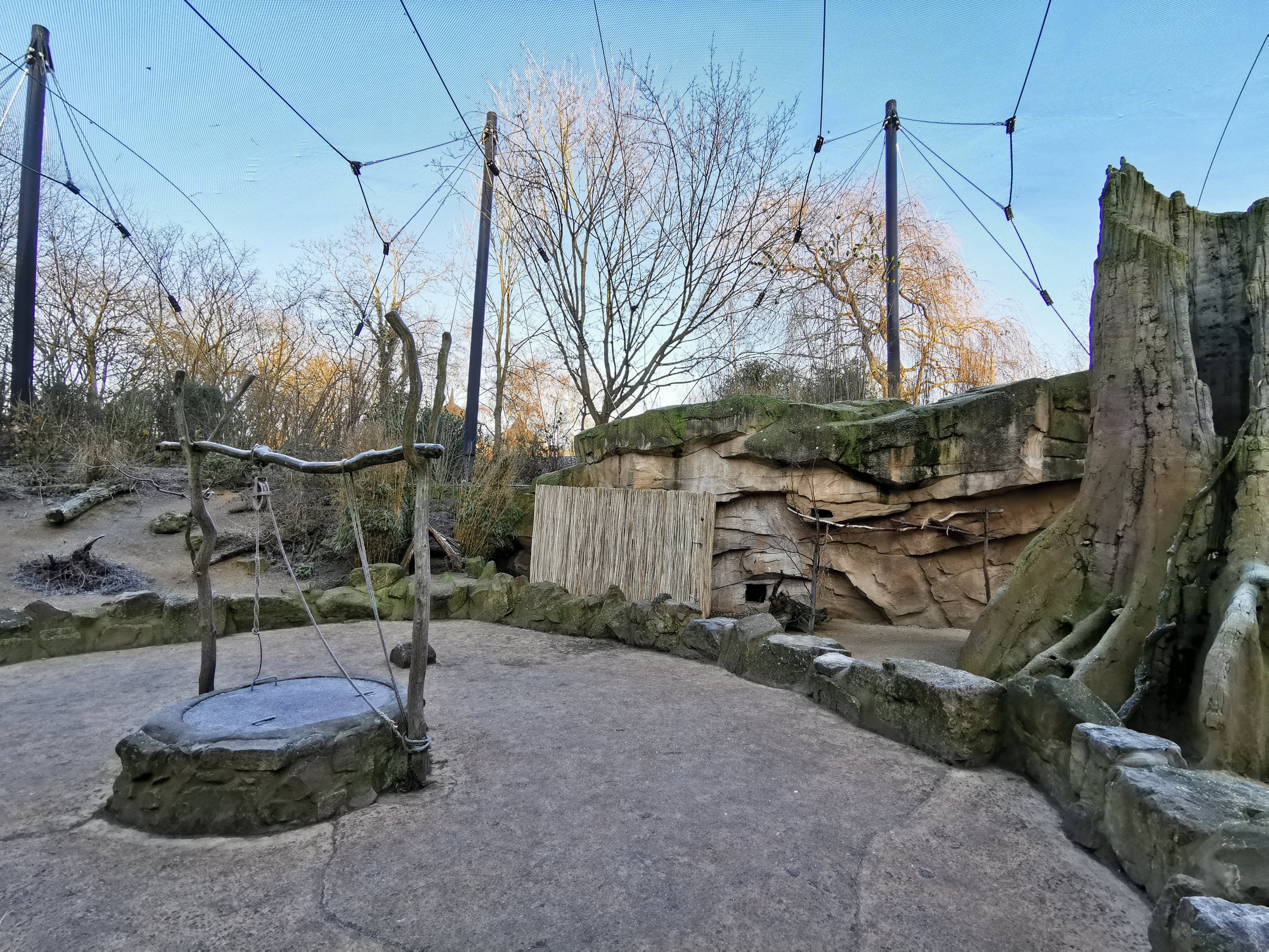 Walk-through African Aviary - Afi Mountain