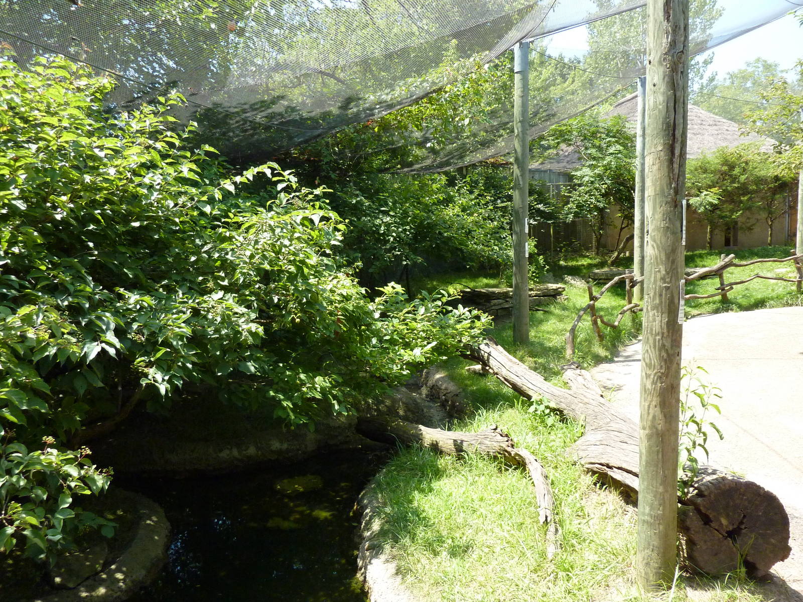Walk-Through African Aviary