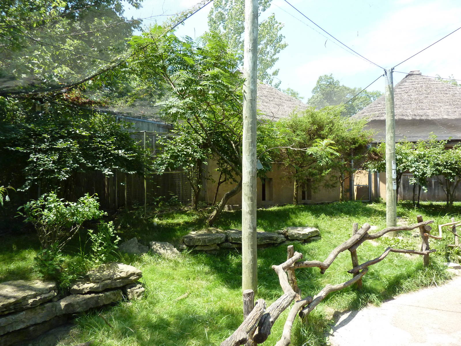 Walk-Through African Aviary