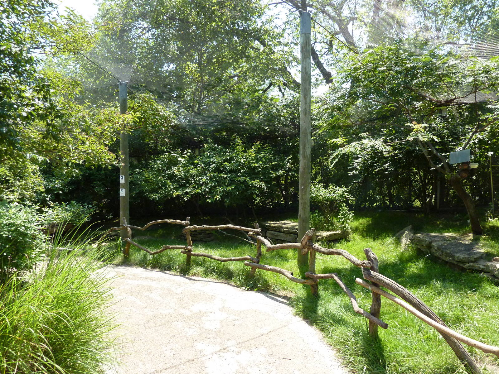 Walk-Through African Aviary