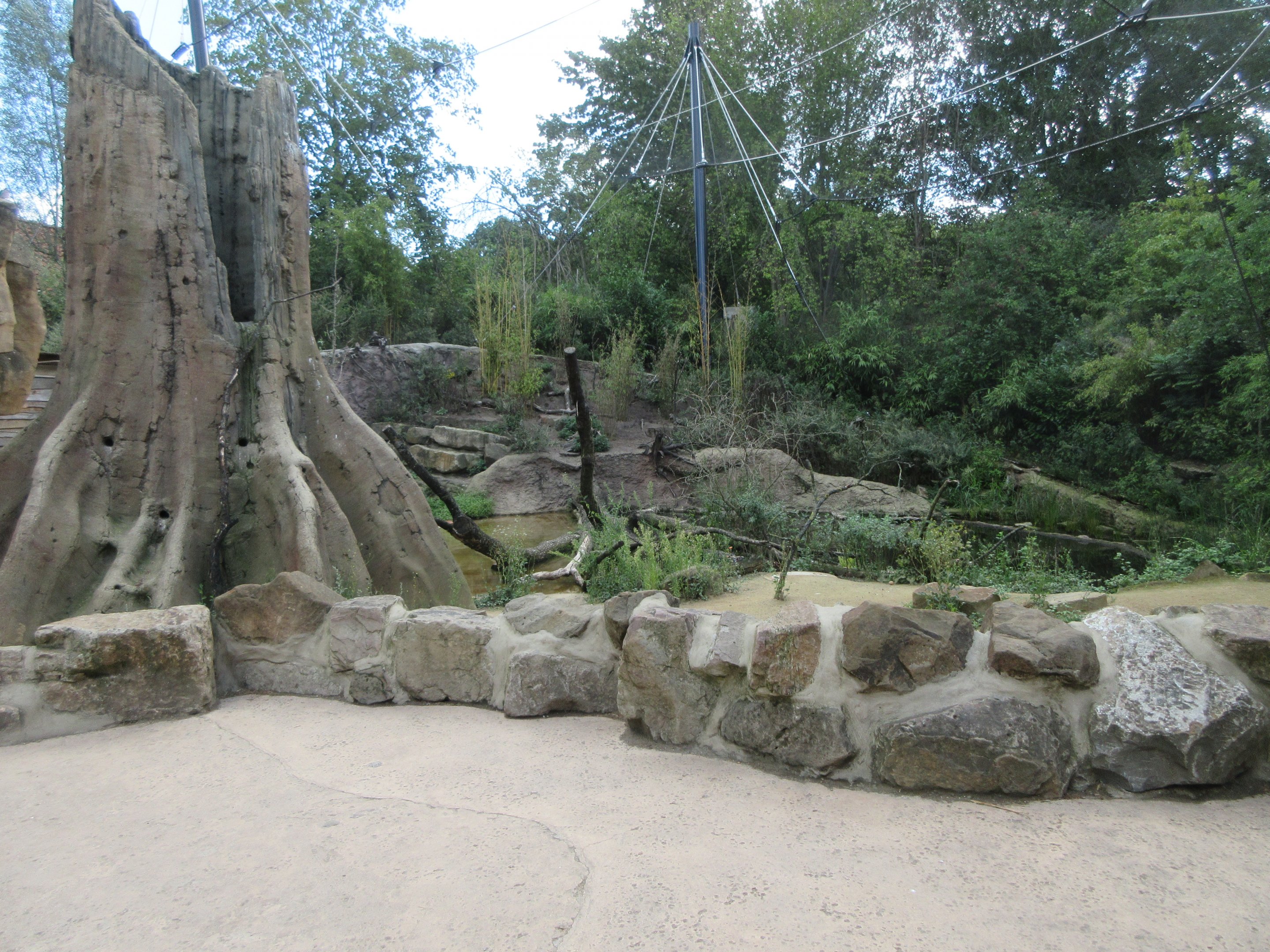 Walk-through African Aviary