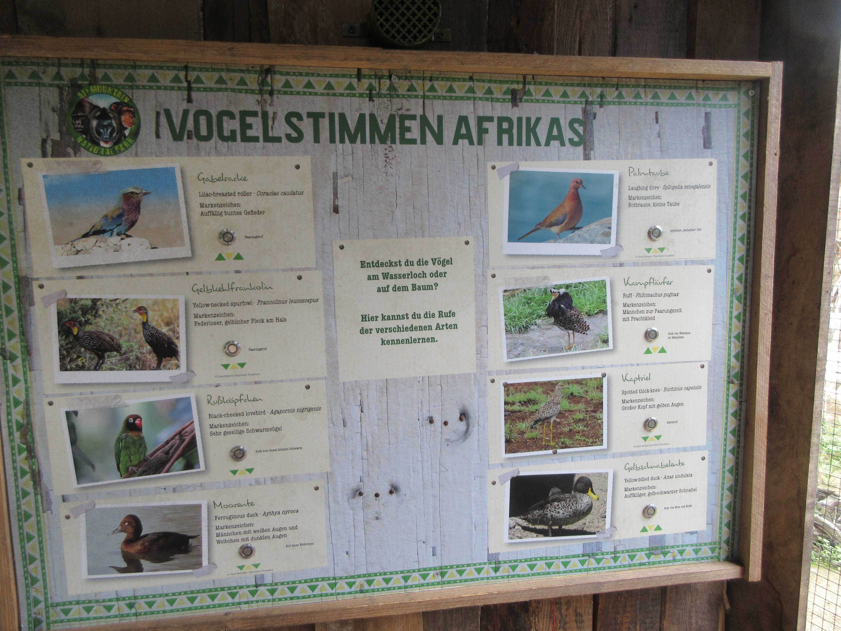 Walk-through African Aviary
