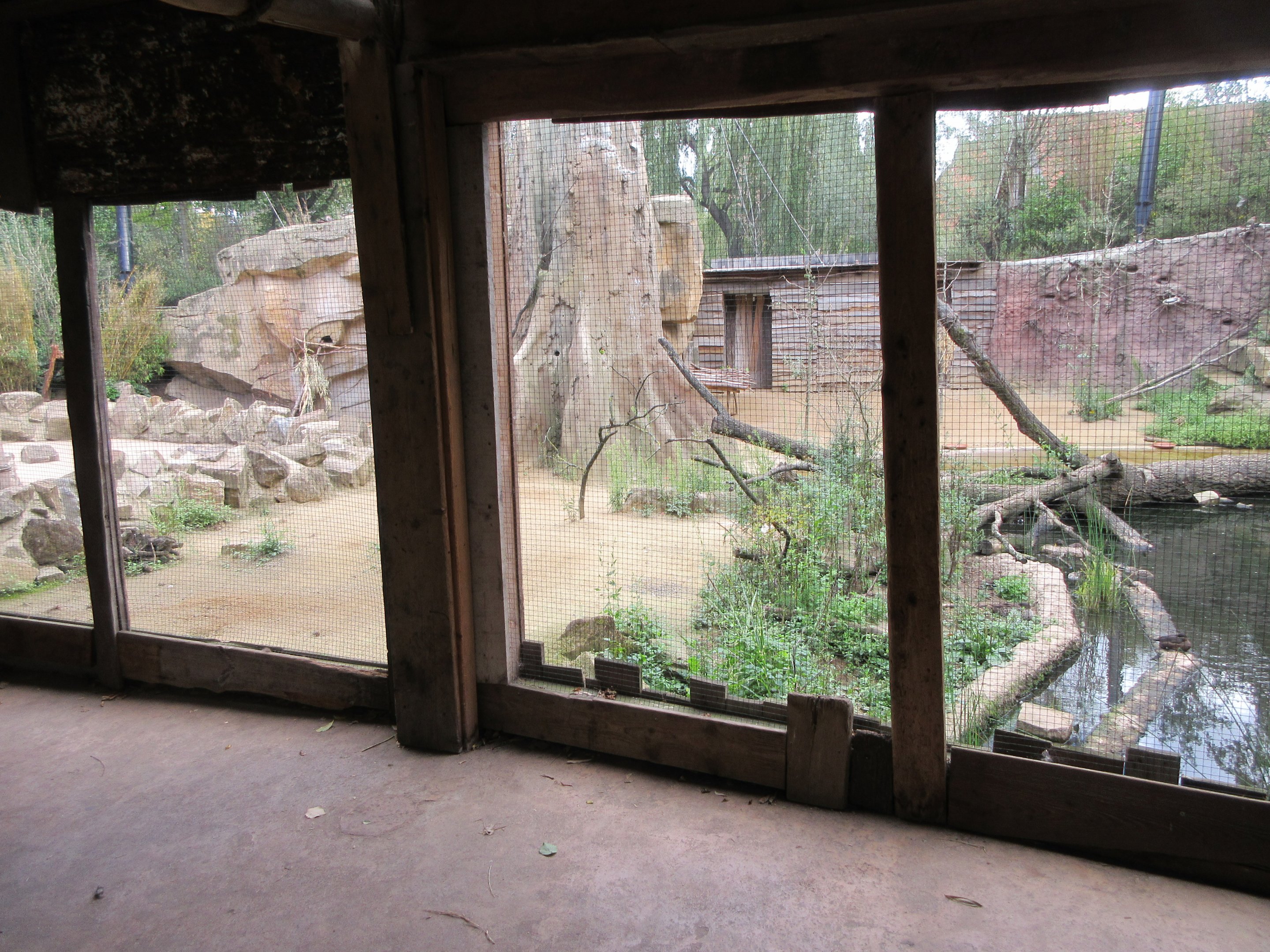 Walk-through African Aviary