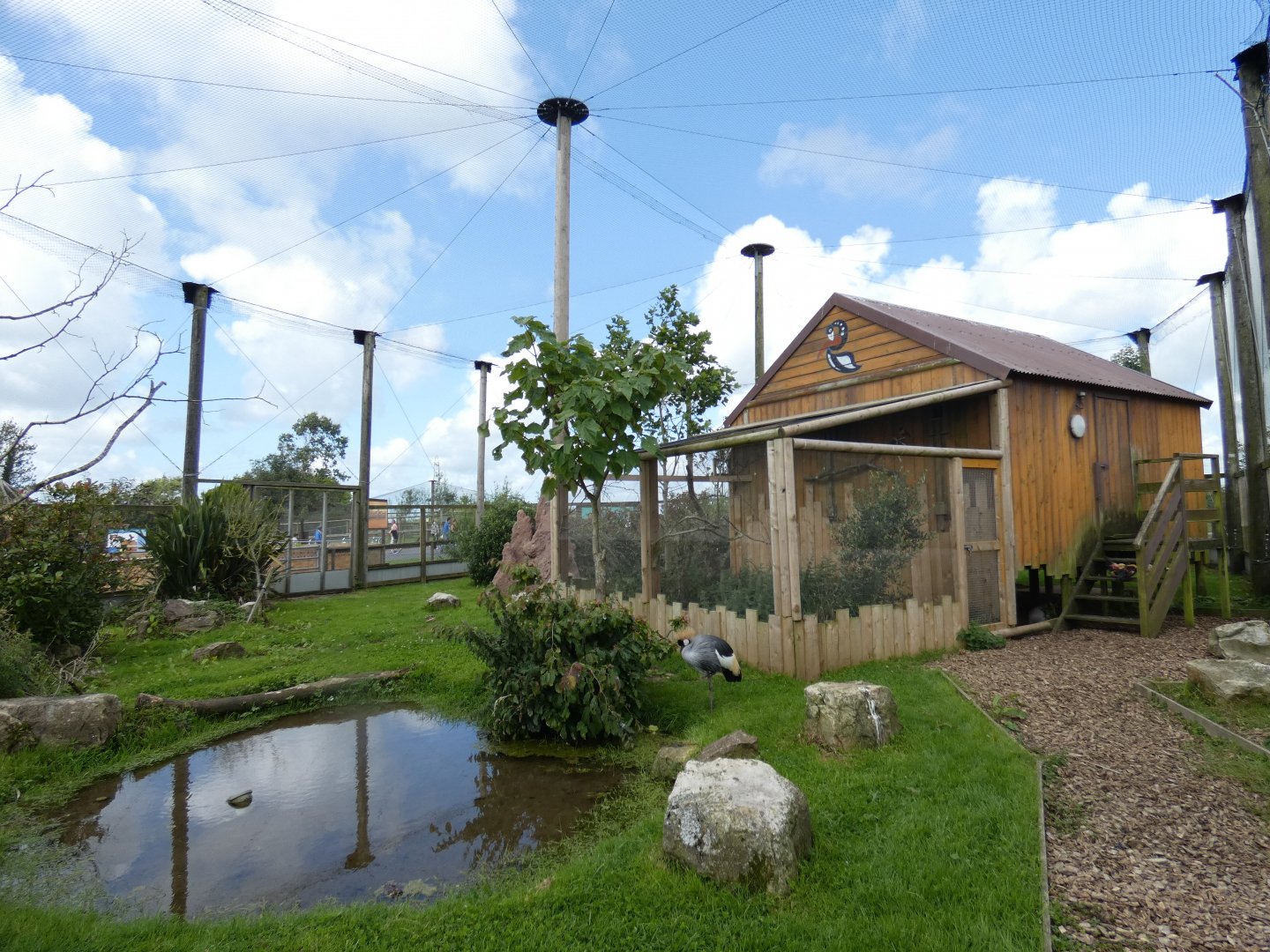 Walk-through African aviary