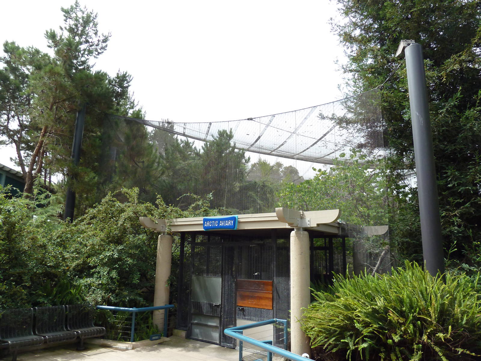 Walk-Through Arctic Aviary