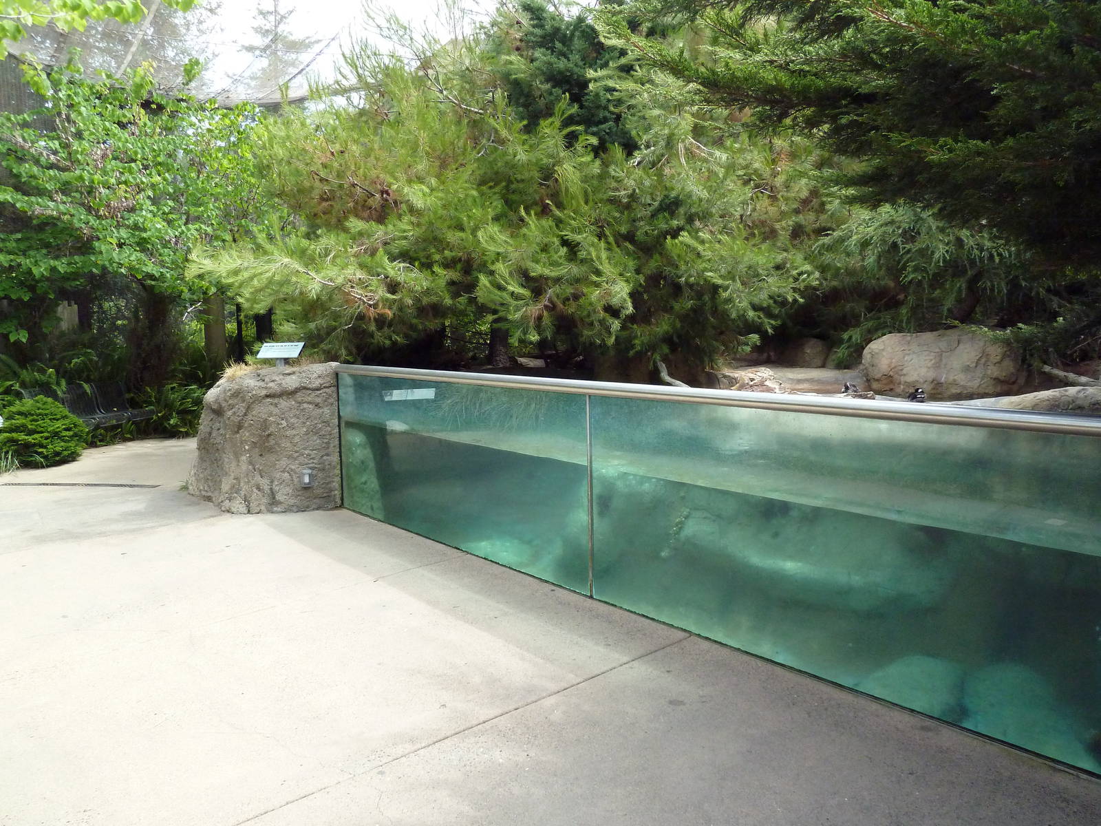 Walk-Through Arctic Aviary