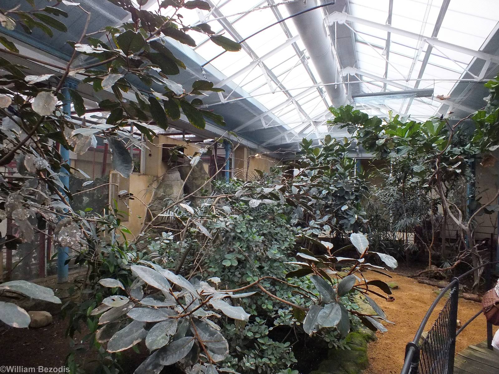 Walk Through area of Blackburn Pavilion