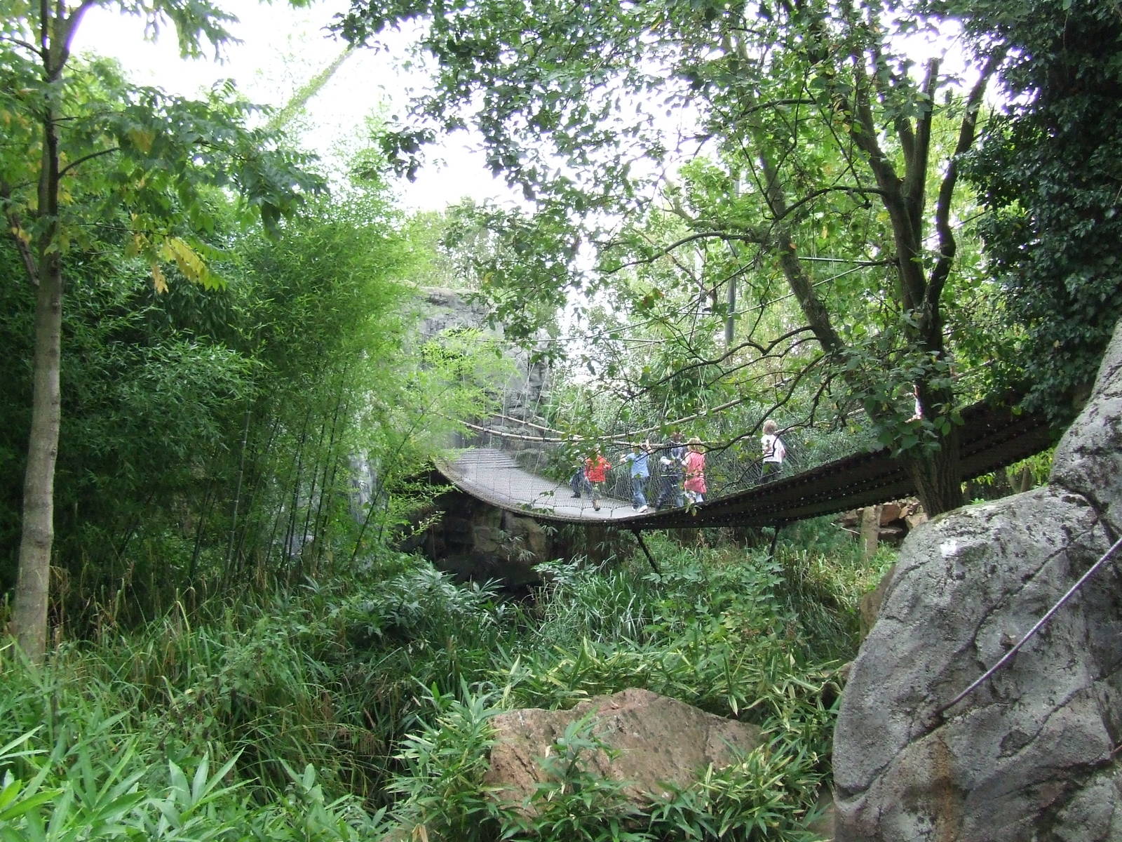 Walk-through Asian aviary, Asian Marshes