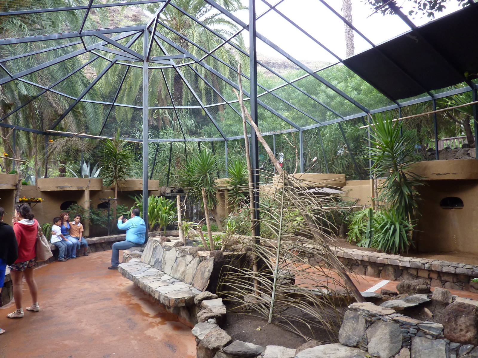 Walk through Australasian aviary
