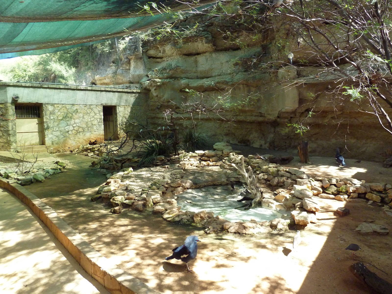 Walk-Through Australian Aviary