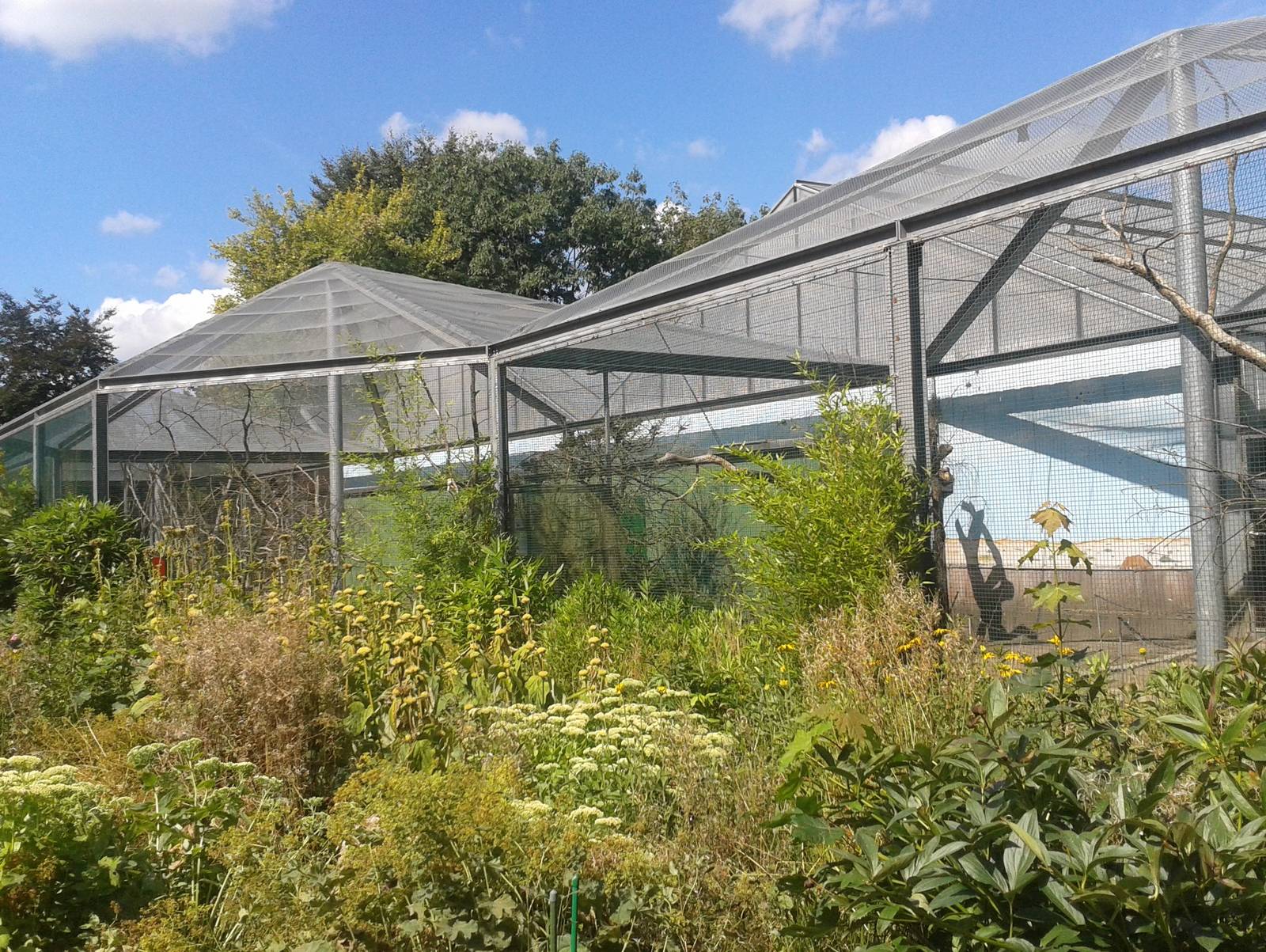 Walk-through aviaries