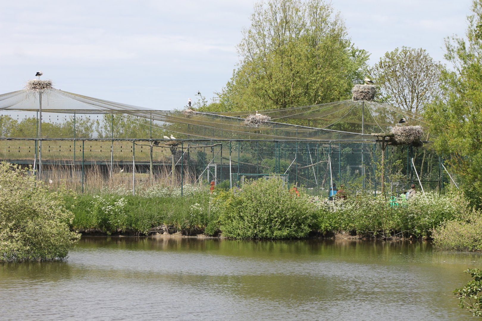 Walk-through aviaries