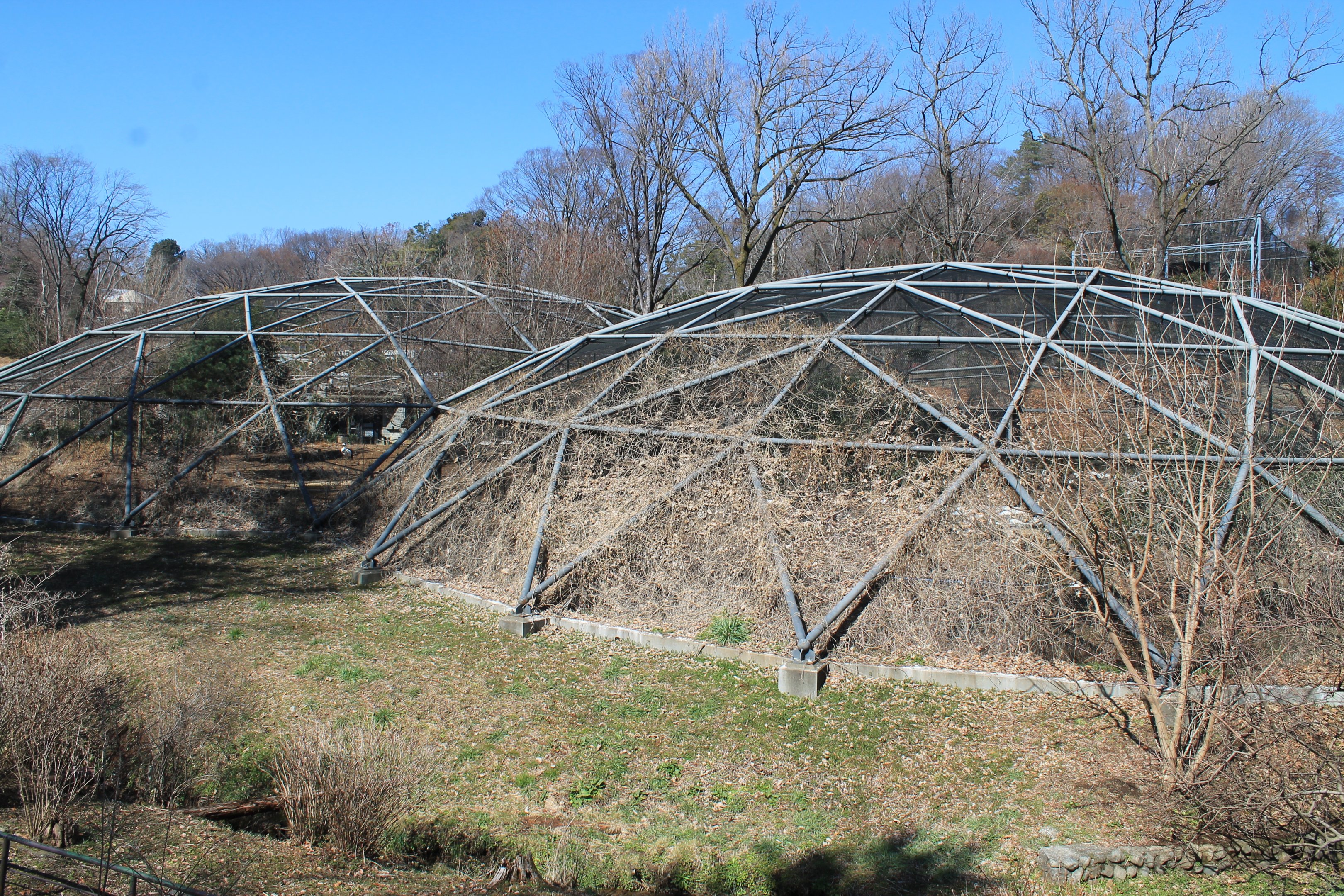 Walk-through aviaries