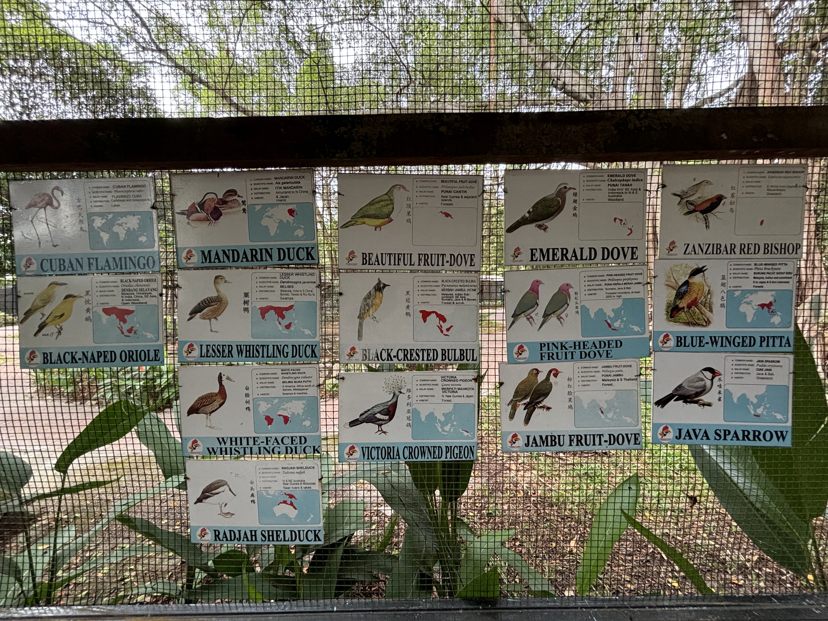 Walk-through Aviary #1 - 1 of 2 signs