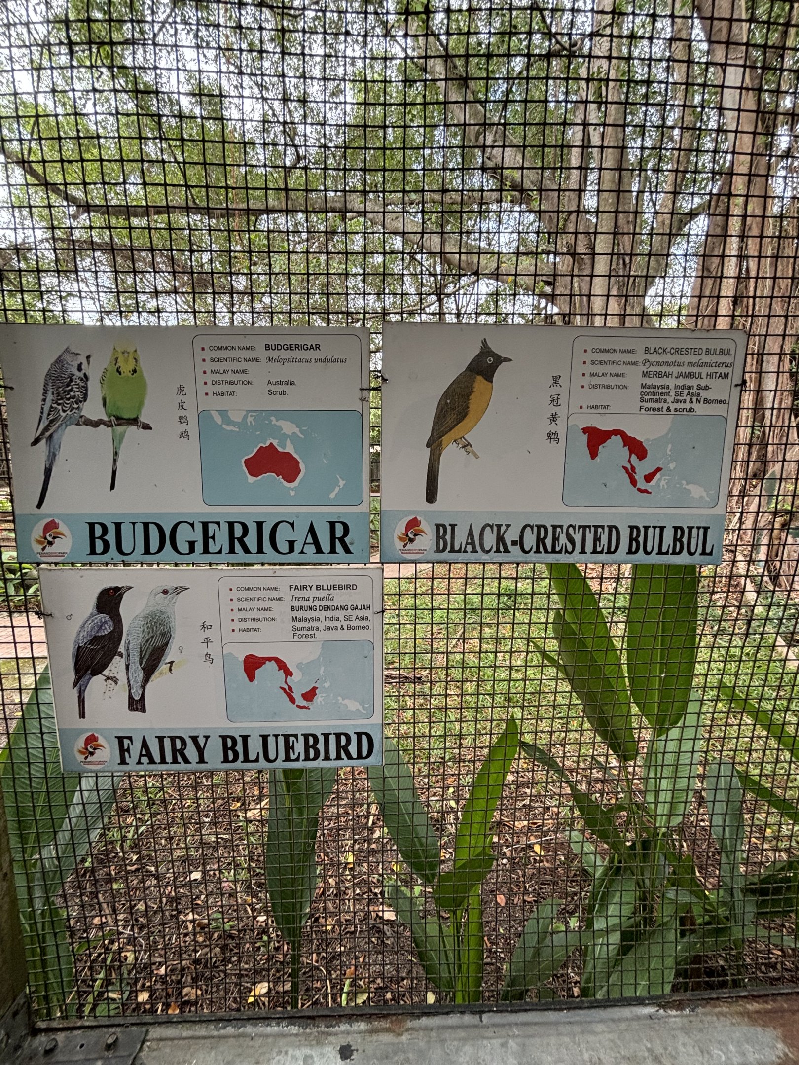 Walk-through Aviary #1 - 2 of 2 signs