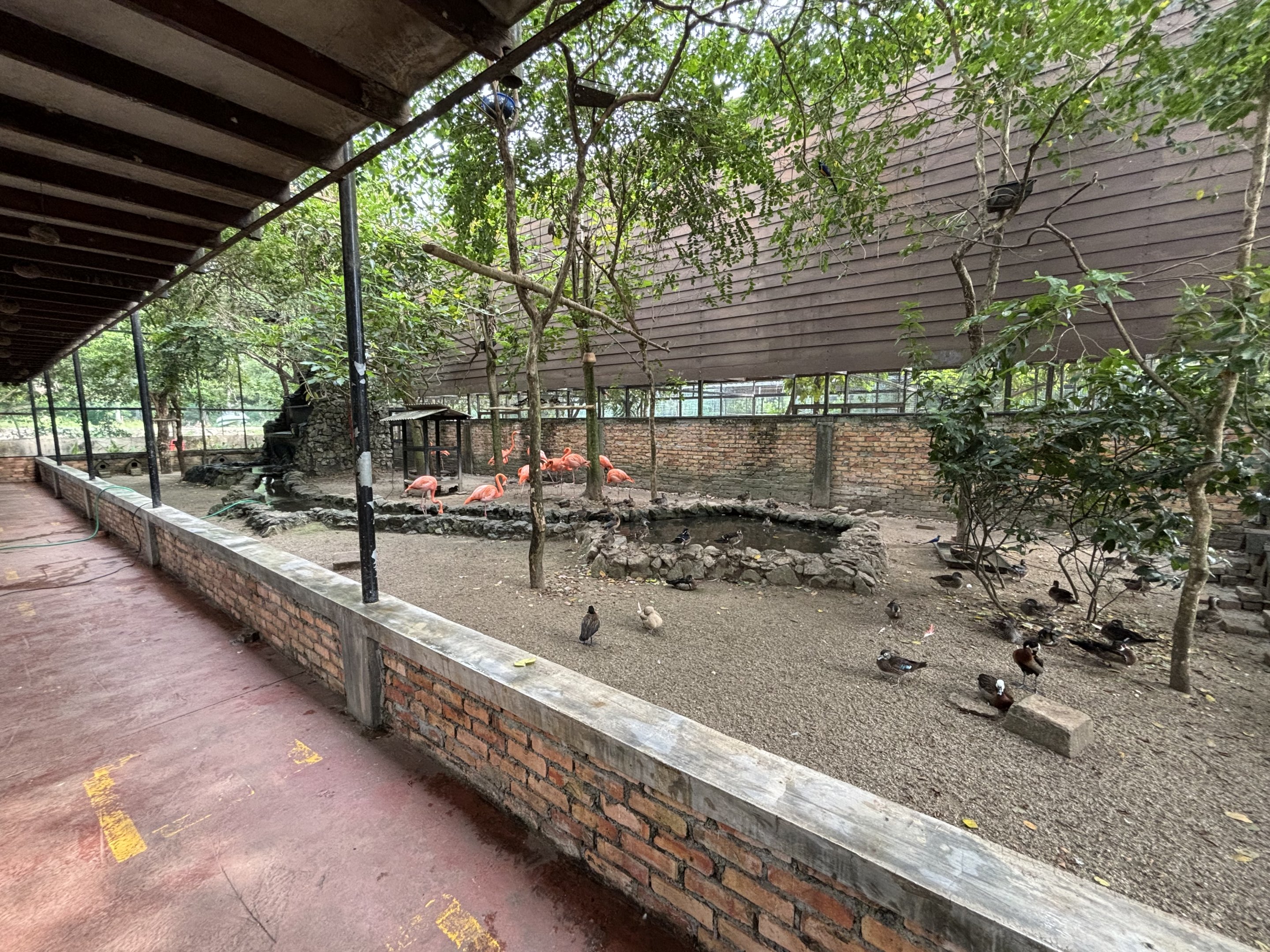 Walk-through Aviary #1 - lower level