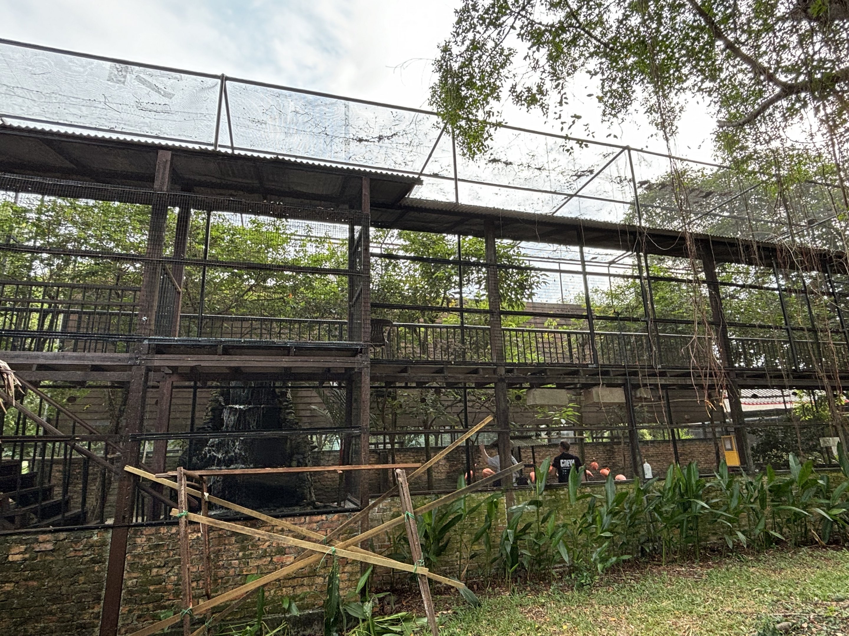 Walk-through Aviary #1