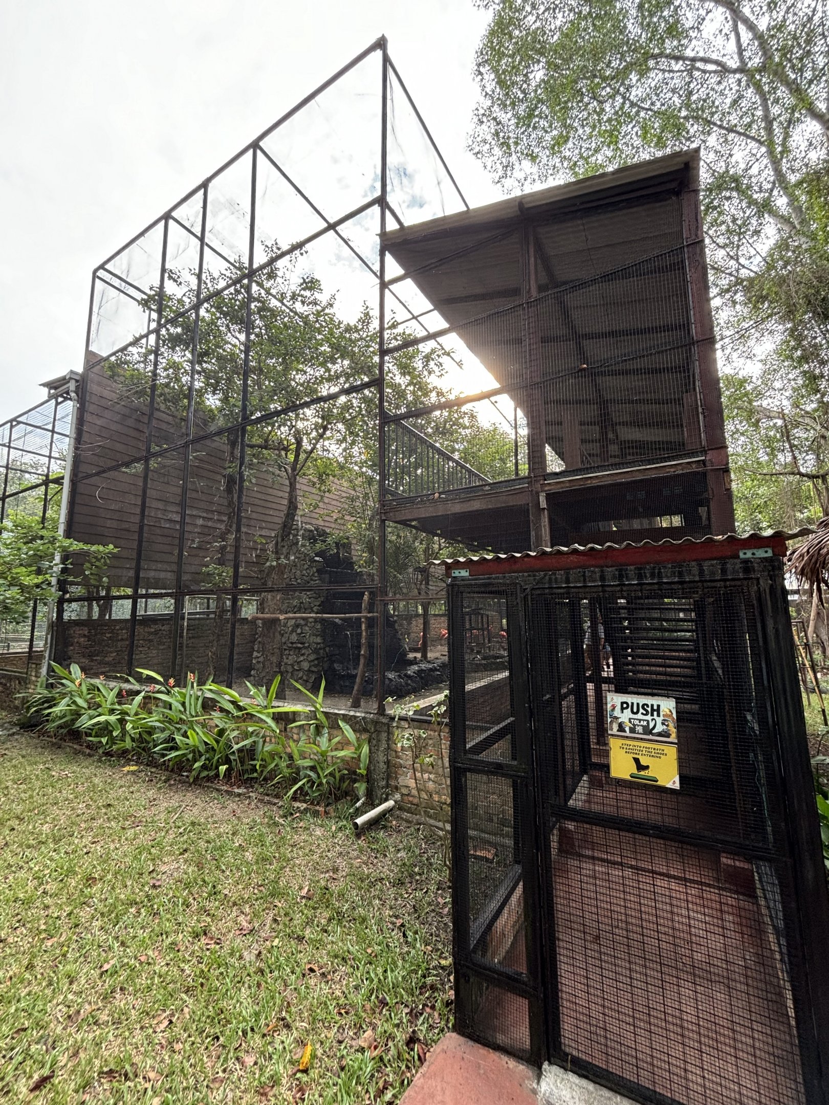 Walk-through Aviary #1