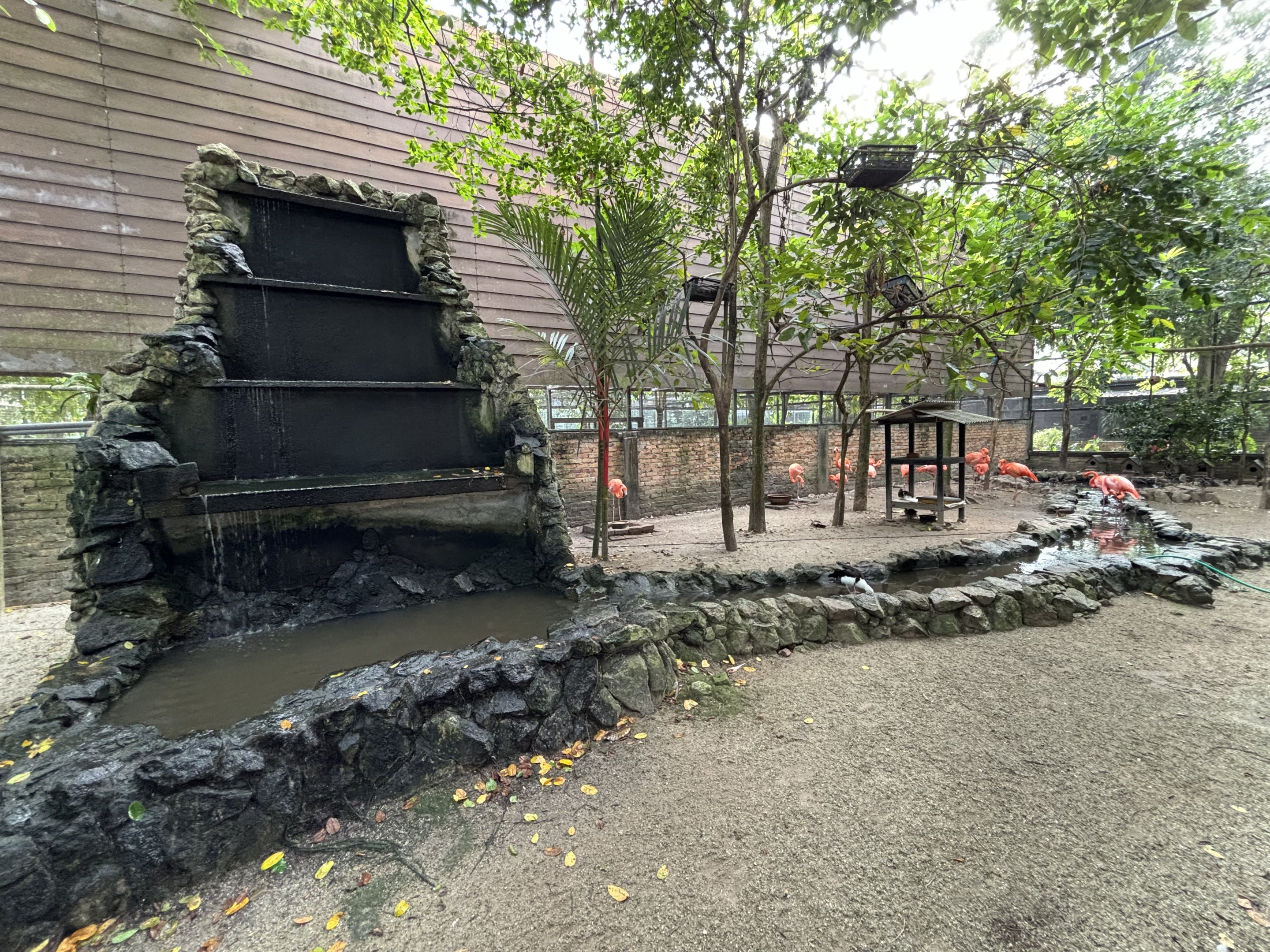 Walk-through Aviary #1