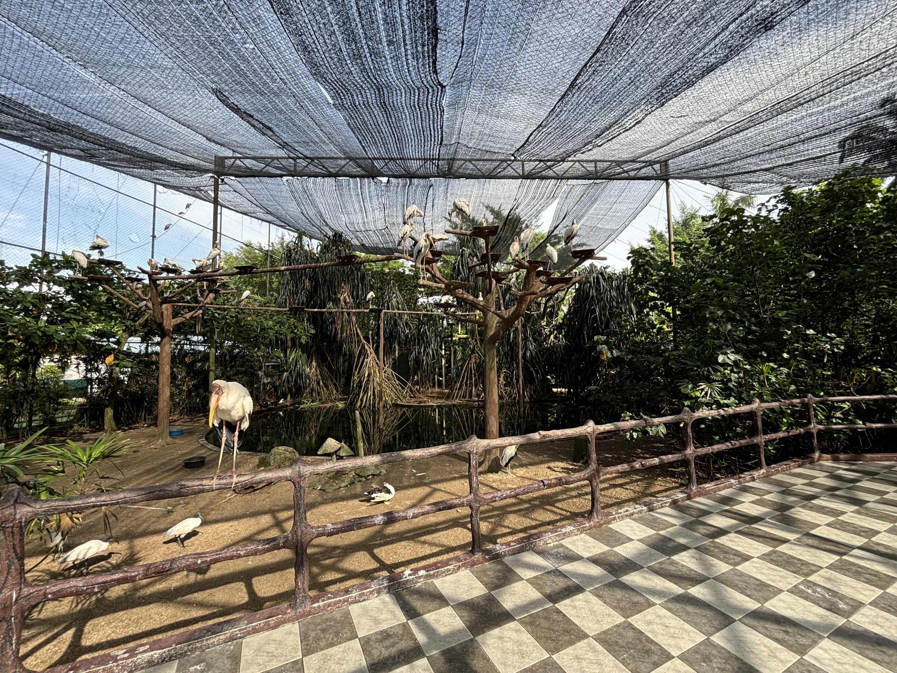 Walk-through Aviary #1