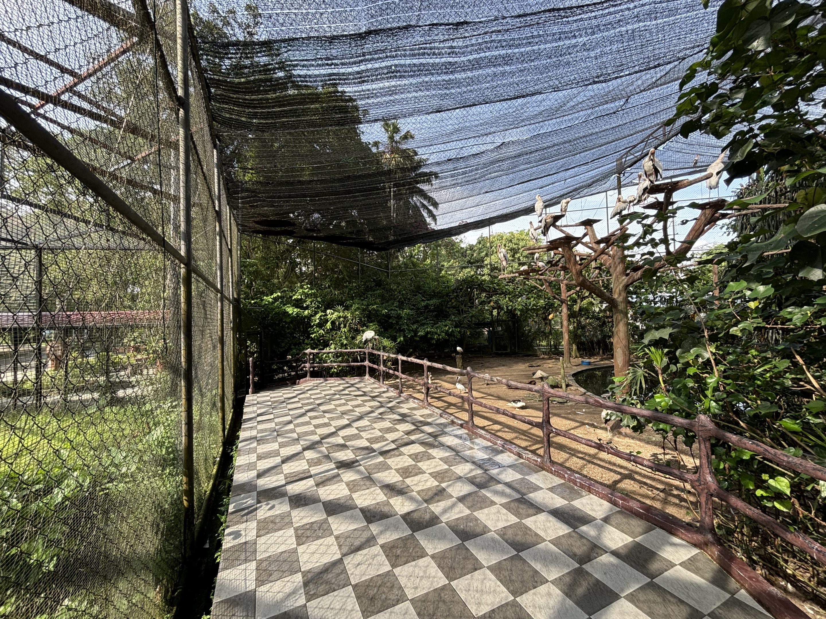 Walk-through Aviary #1