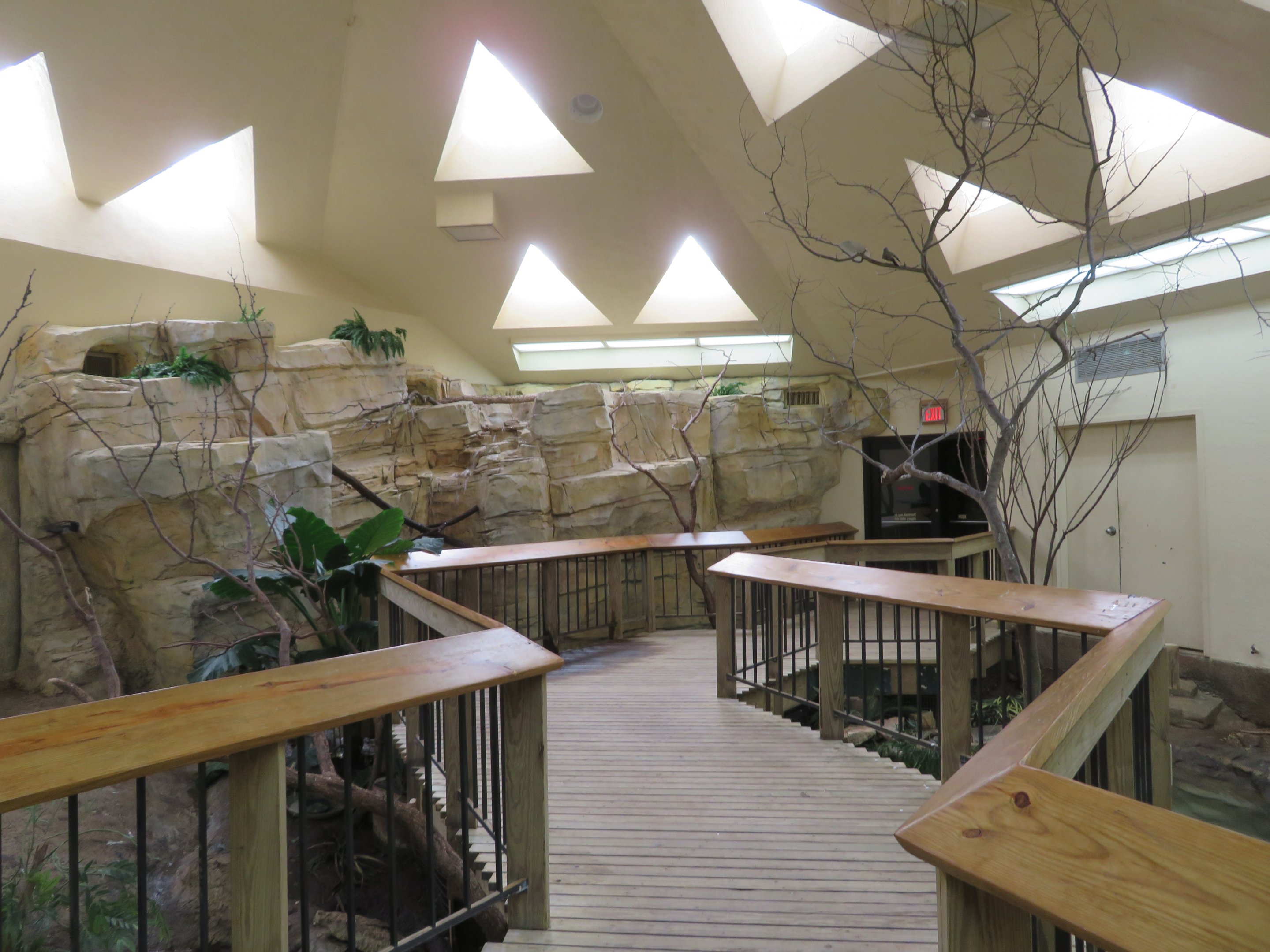 Walk-through Aviary (10 species)