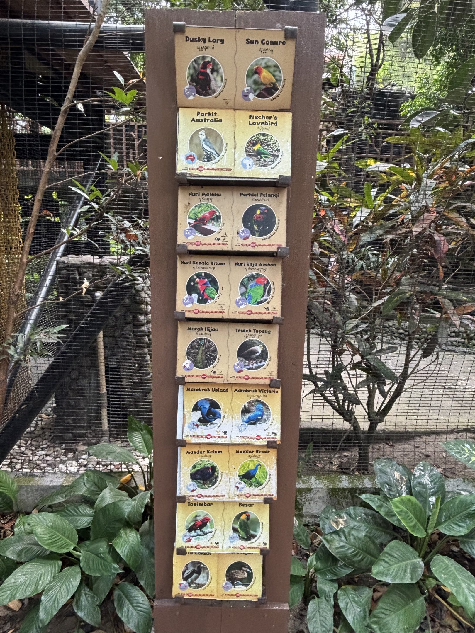 Walk-through Aviary (18 species)