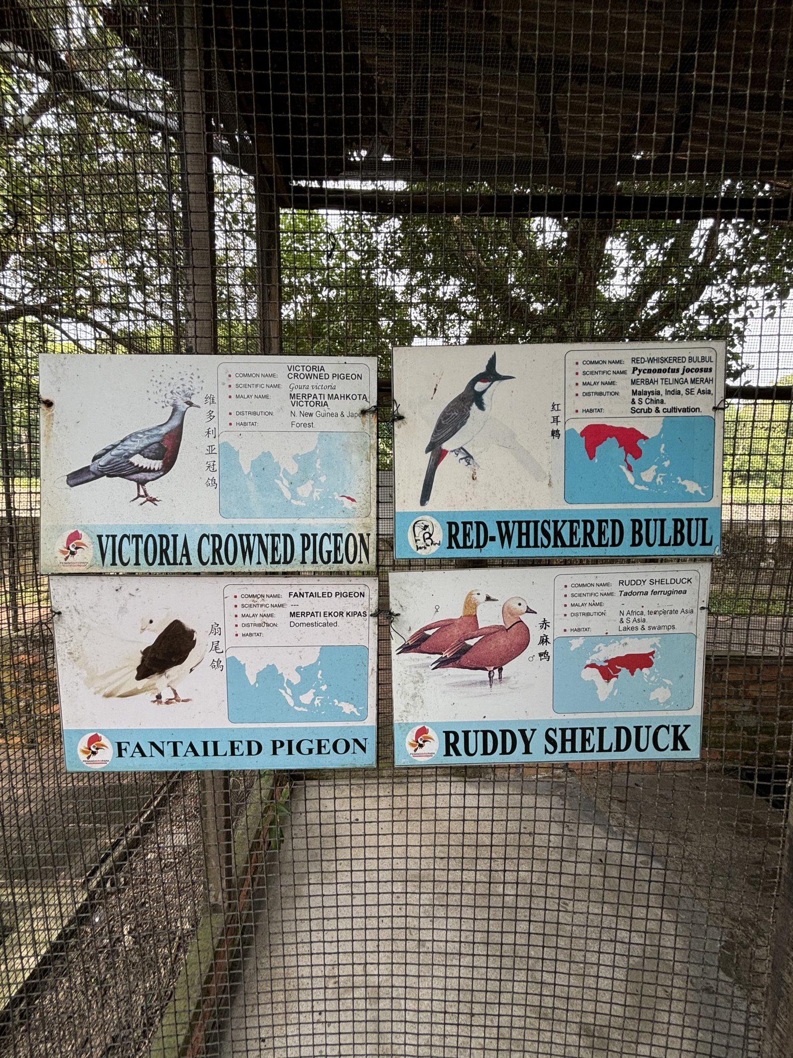 Walk-through Aviary #2 - sign