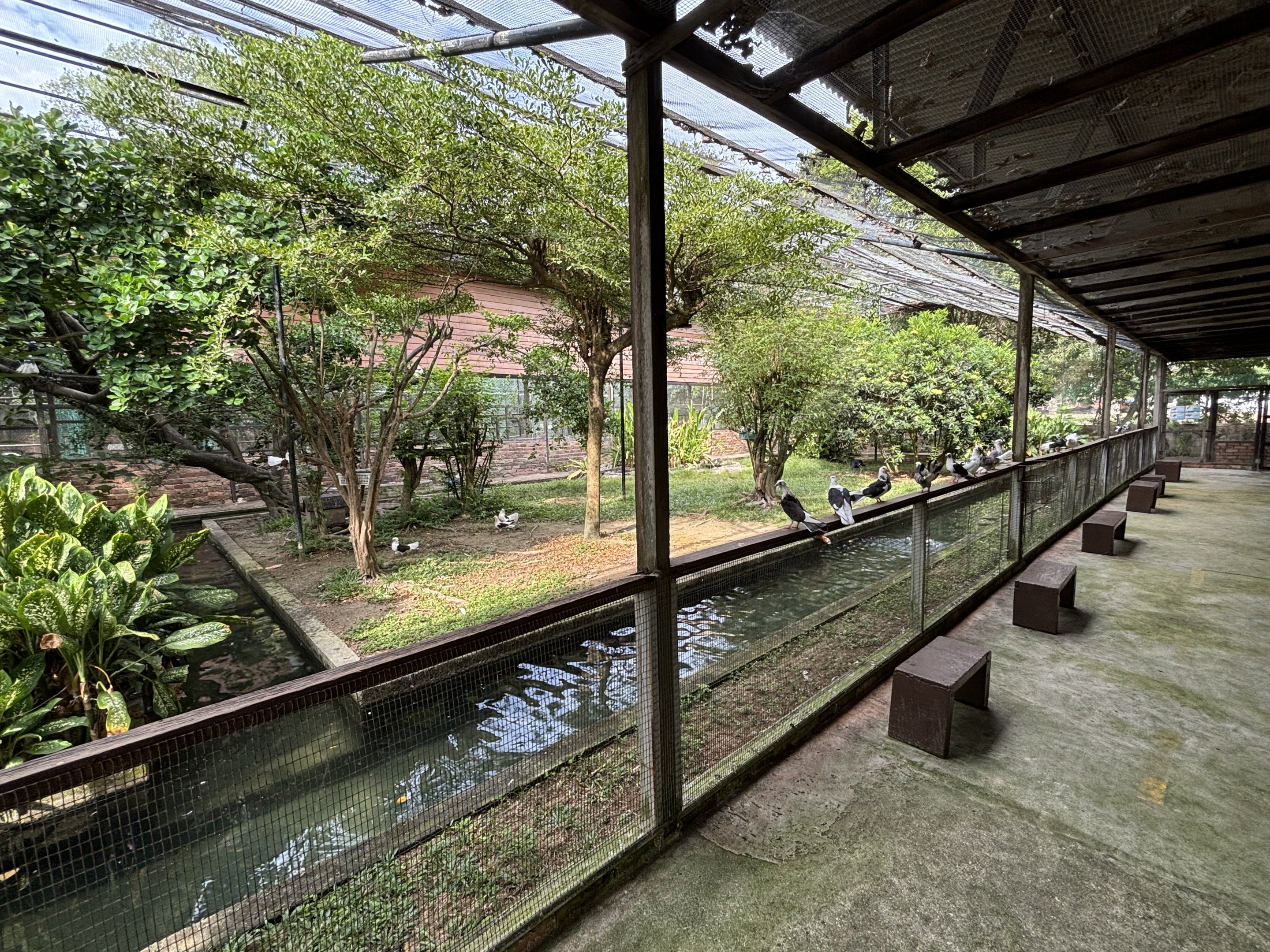 Walk-through Aviary #2